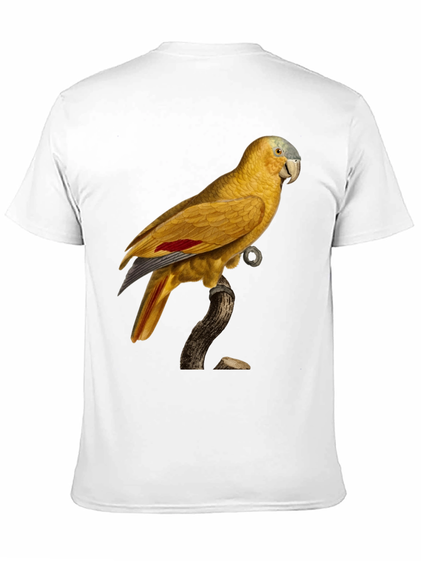 Black Parrot Graphic Black T-Shirt view 11