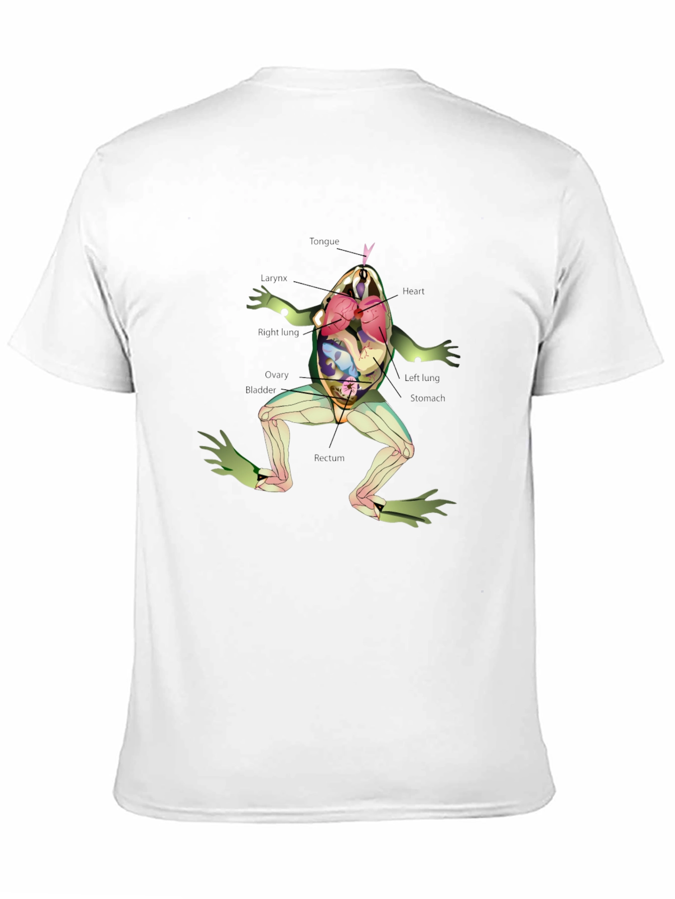 Black Anatomy Frog T-Shirt view 11