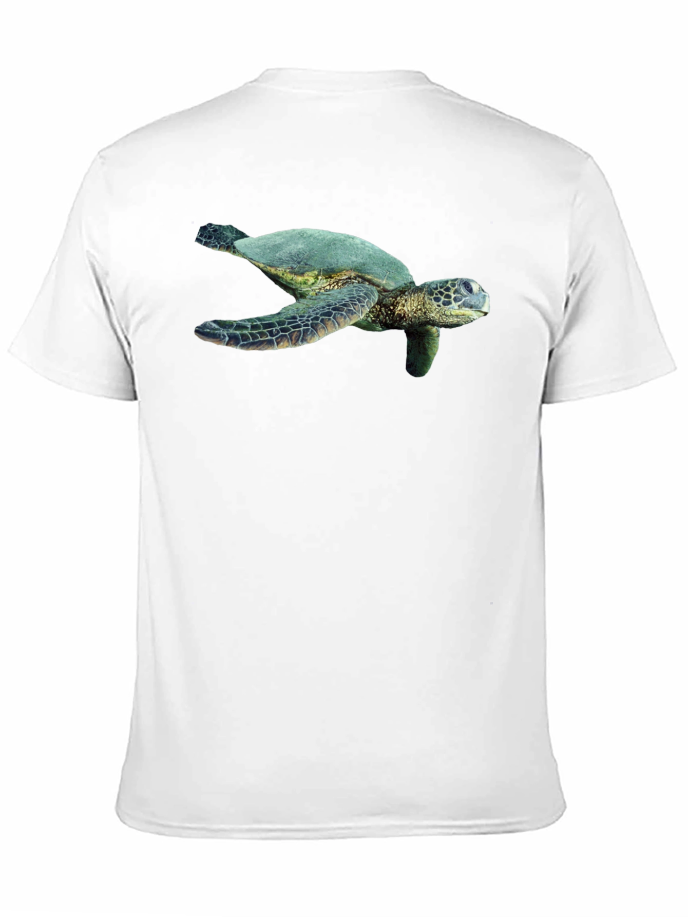 Black Sea Turtle Graphic Black T-Shirt view 11