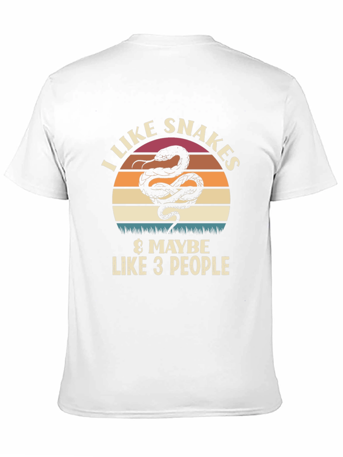 Black I Like Snakes & Maybe Like 3 People Graphic T-Shirt view 11