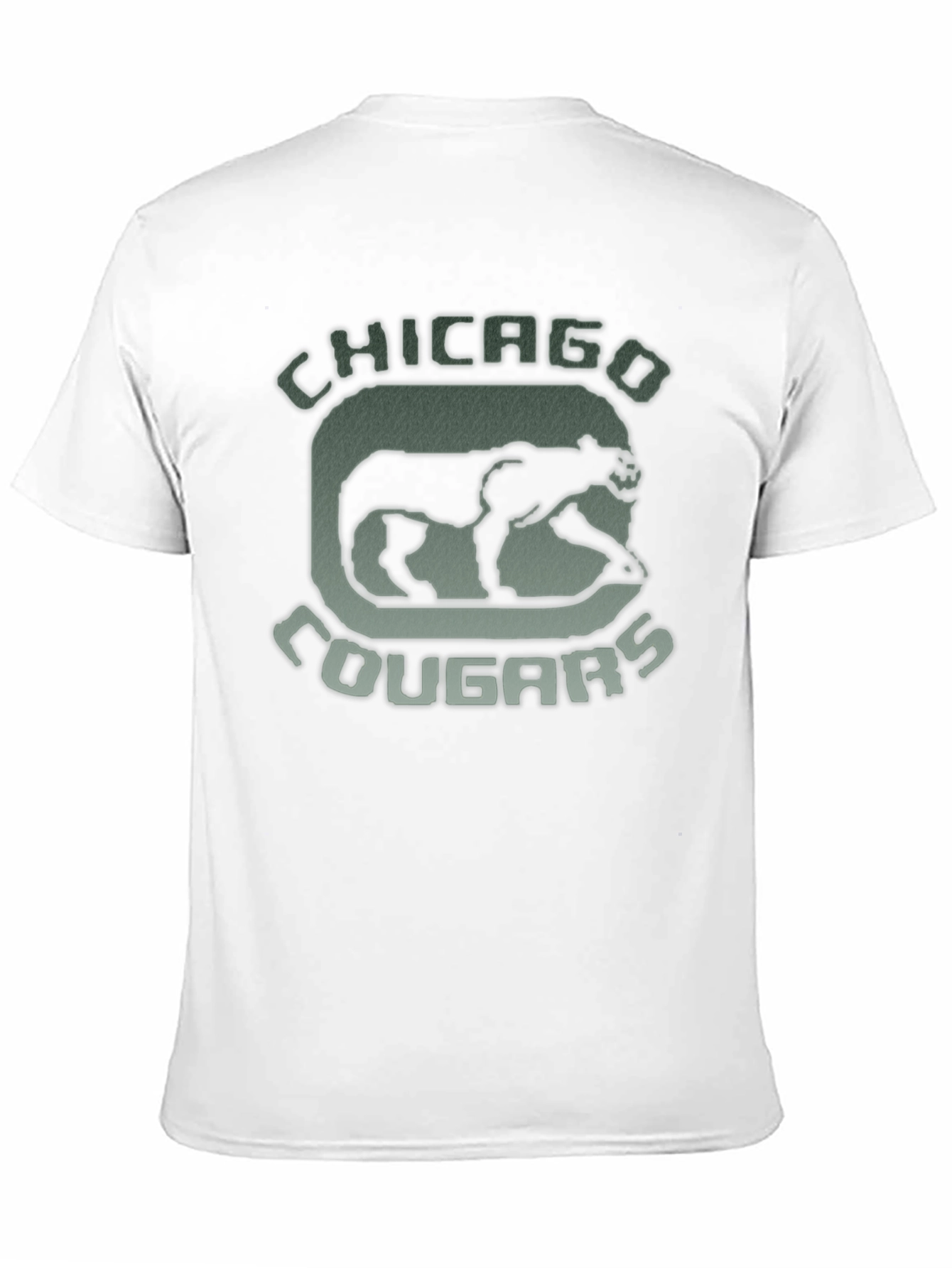 Black Chicago Cougars Vintage Graphic Tee view 11