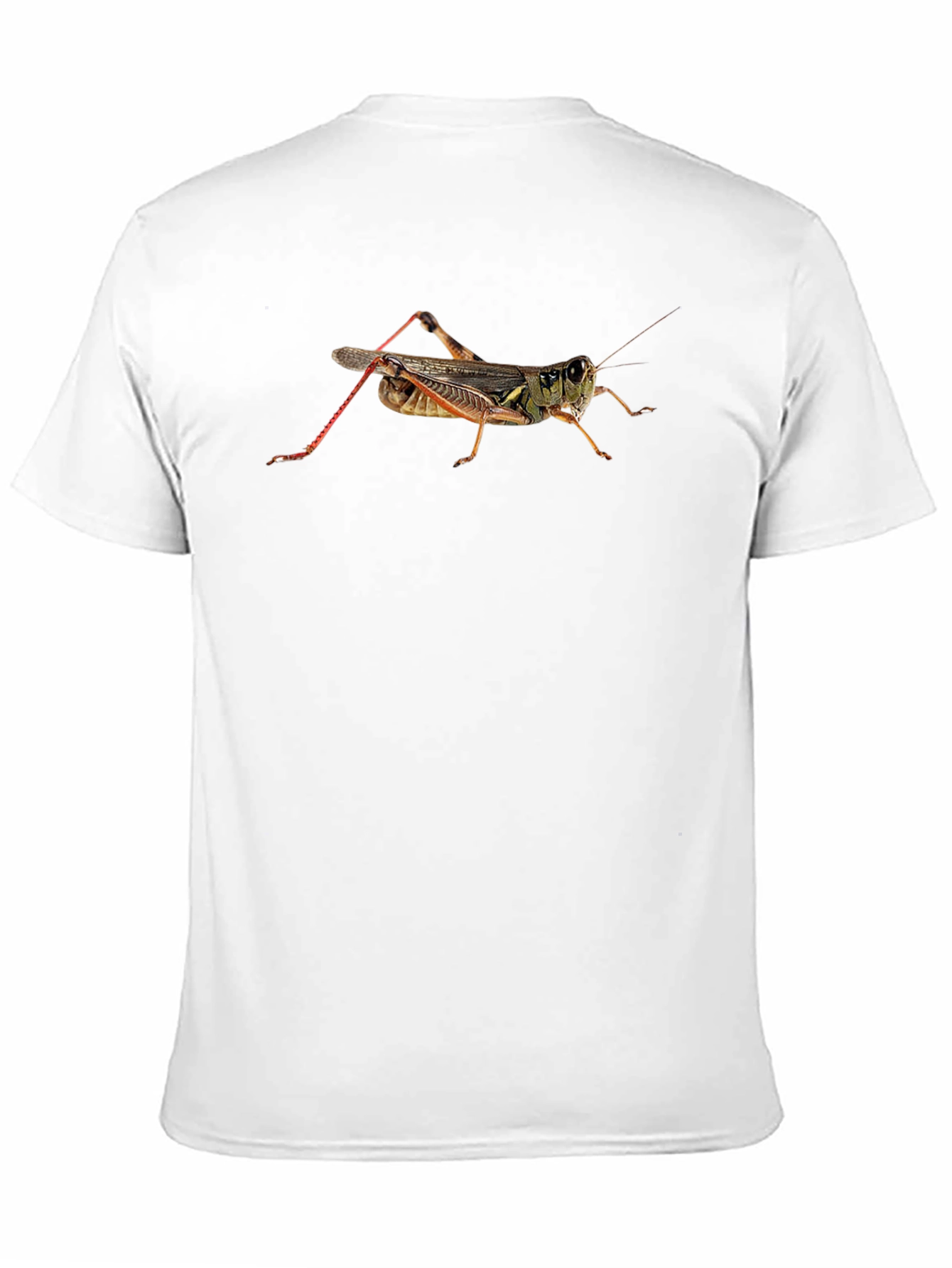 Grasshopper Graphic Tee - Insect Lover T-Shirt - 11