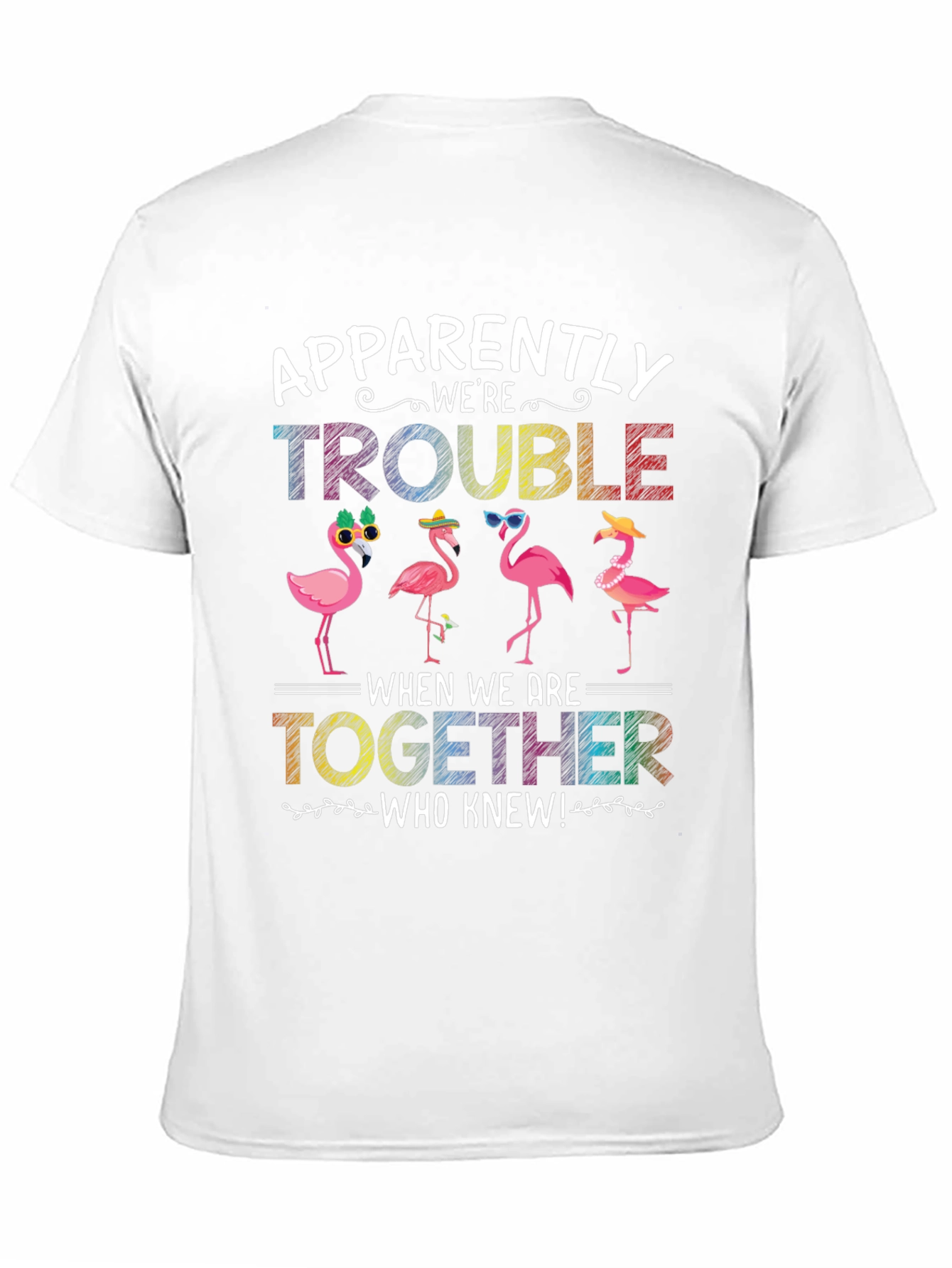 Black Flamingo Trouble Graphic T-Shirt view 11