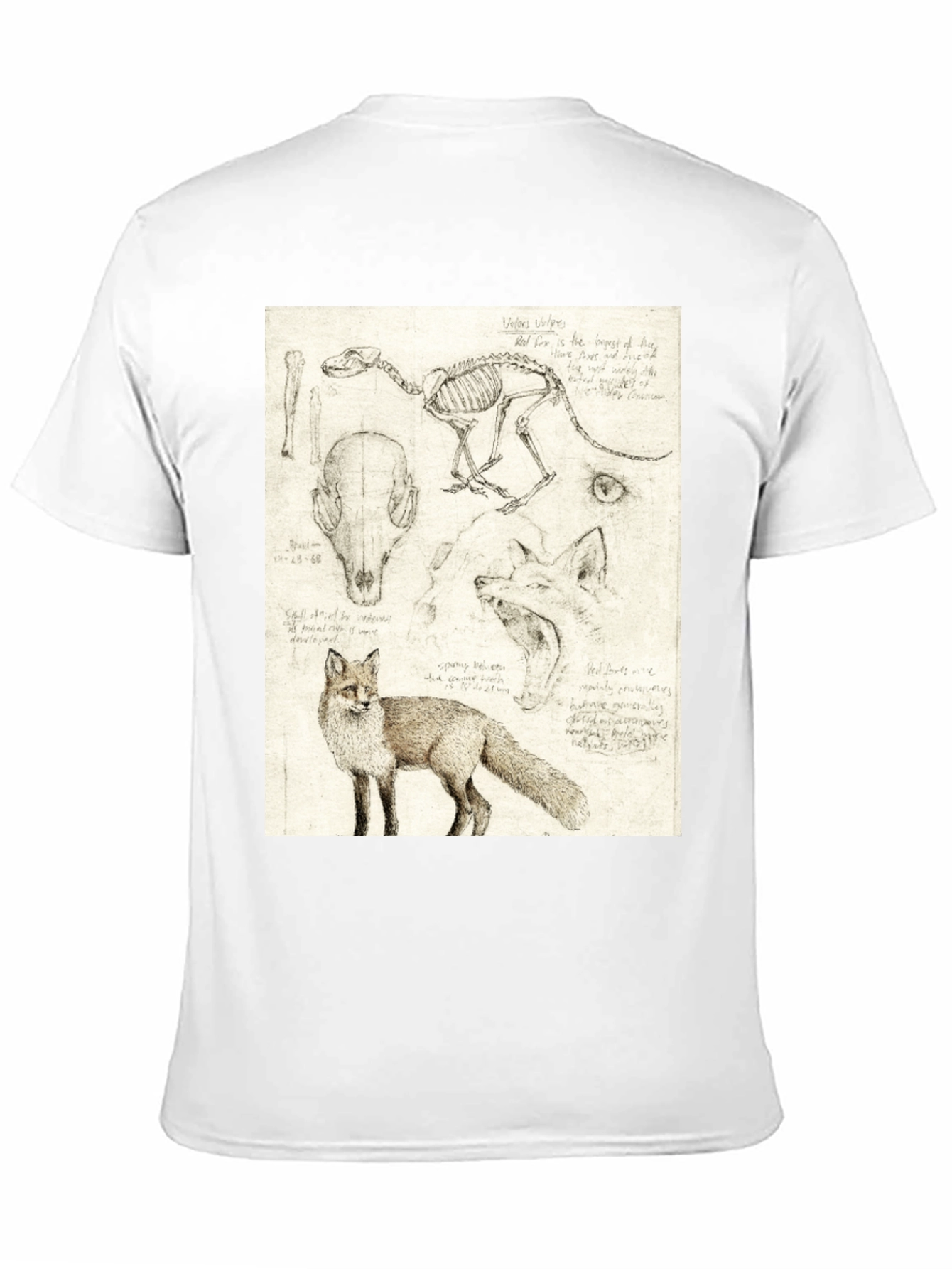 Black Anatomical Fox Print Tee - Artistic Unisex T-Shirt view 11