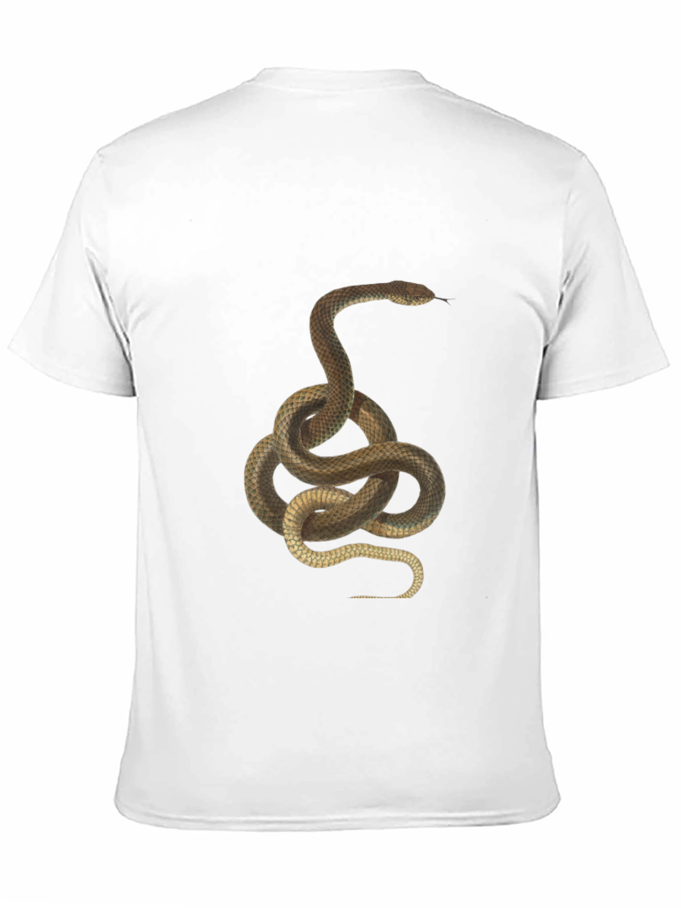 Black Snake Graphic Print T-Shirt - Classic Black Tee view 11
