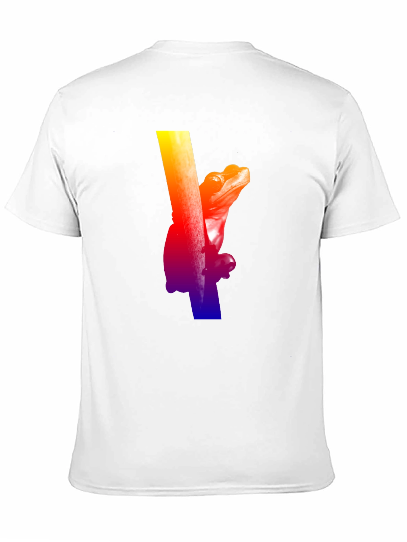 Black Rainbow Frog Climbing T-Shirt - Black view 11