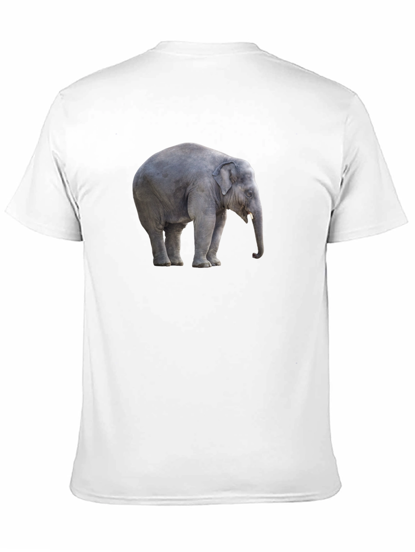 Black Elephant Graphic Tee - Stylish Black Cotton T-Shirt view 11