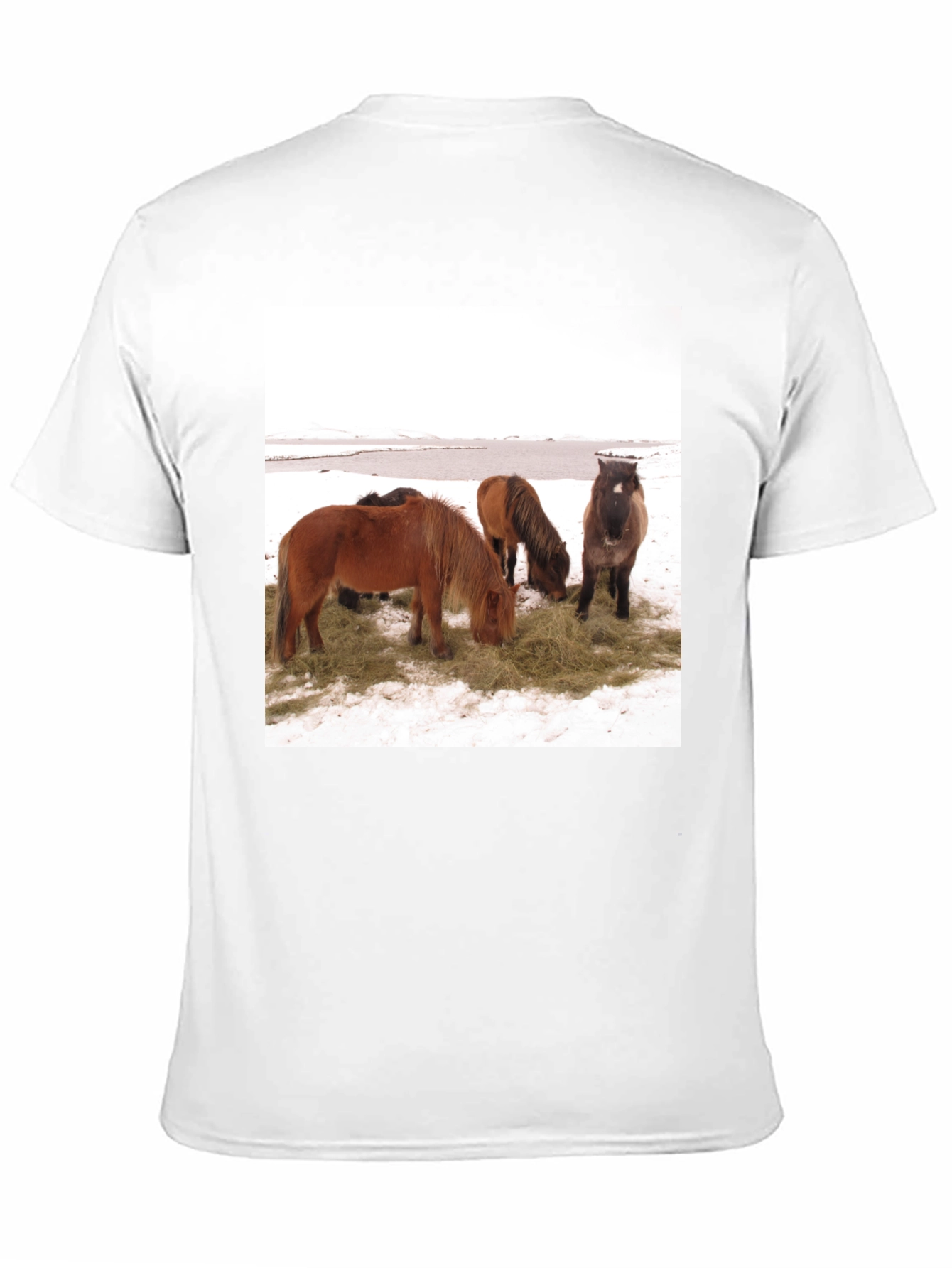Black Horse Scene Graphic Tee - Unisex Black T-Shirt view 11
