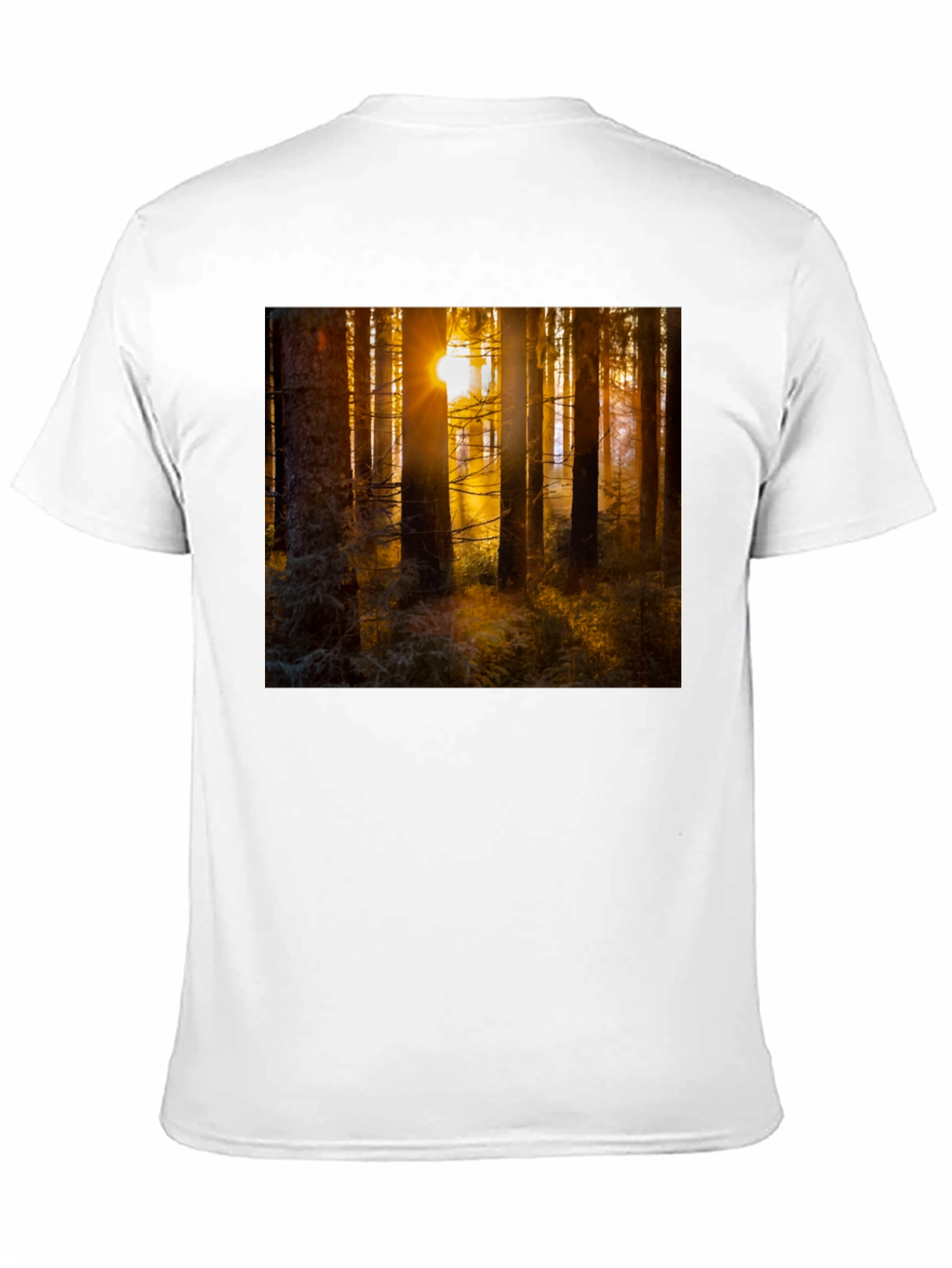 Black Forest Sun T-Shirt - Nature Inspired Apparel view 11