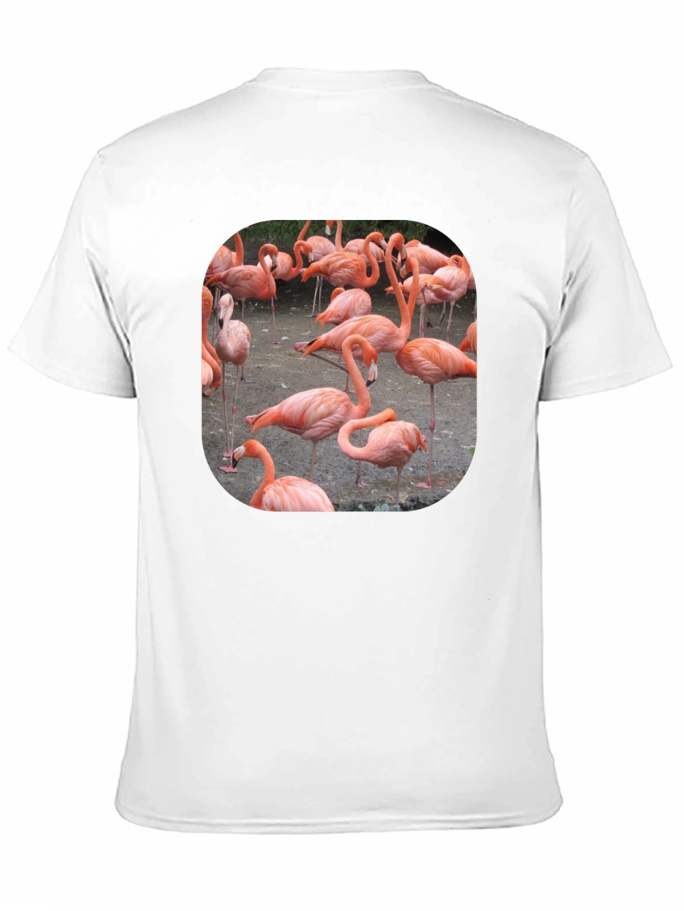 Black Flamingo Graphic Tee - Tropical Bird T-Shirt view 11
