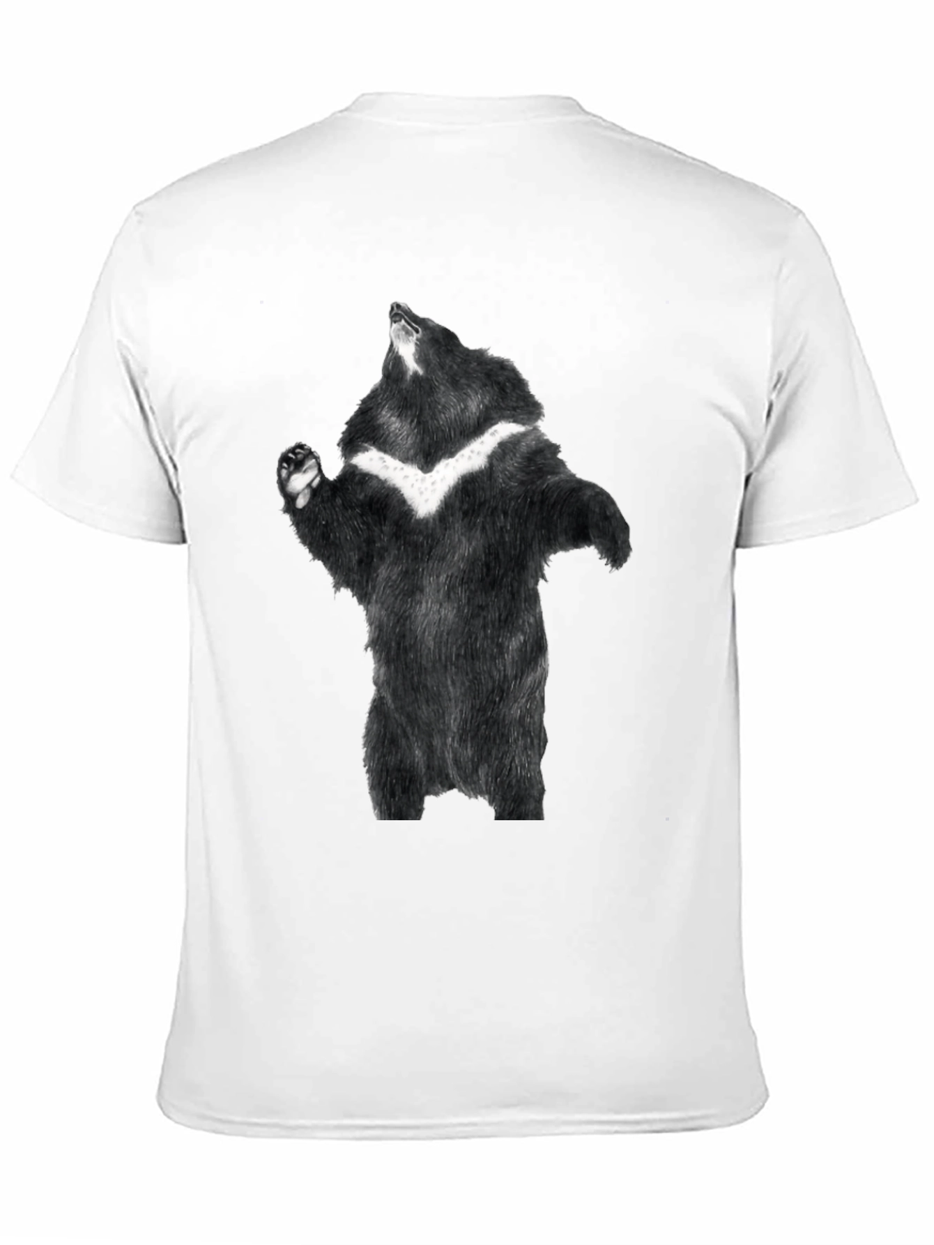 Black Black Bear Graphic Tee - Men's Short Sleeve Shirt view 11