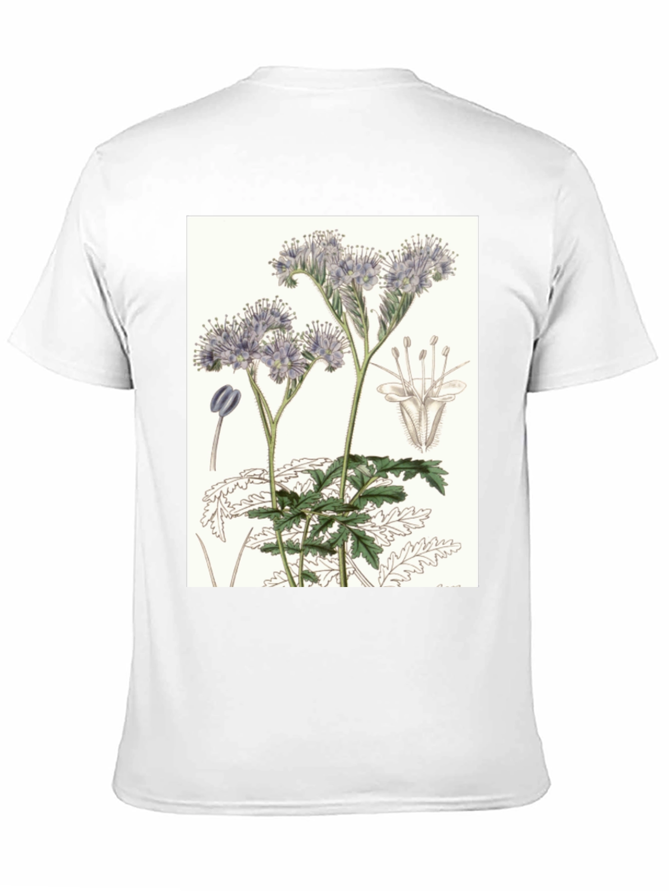 Black Botanical Flower T-Shirt view 11