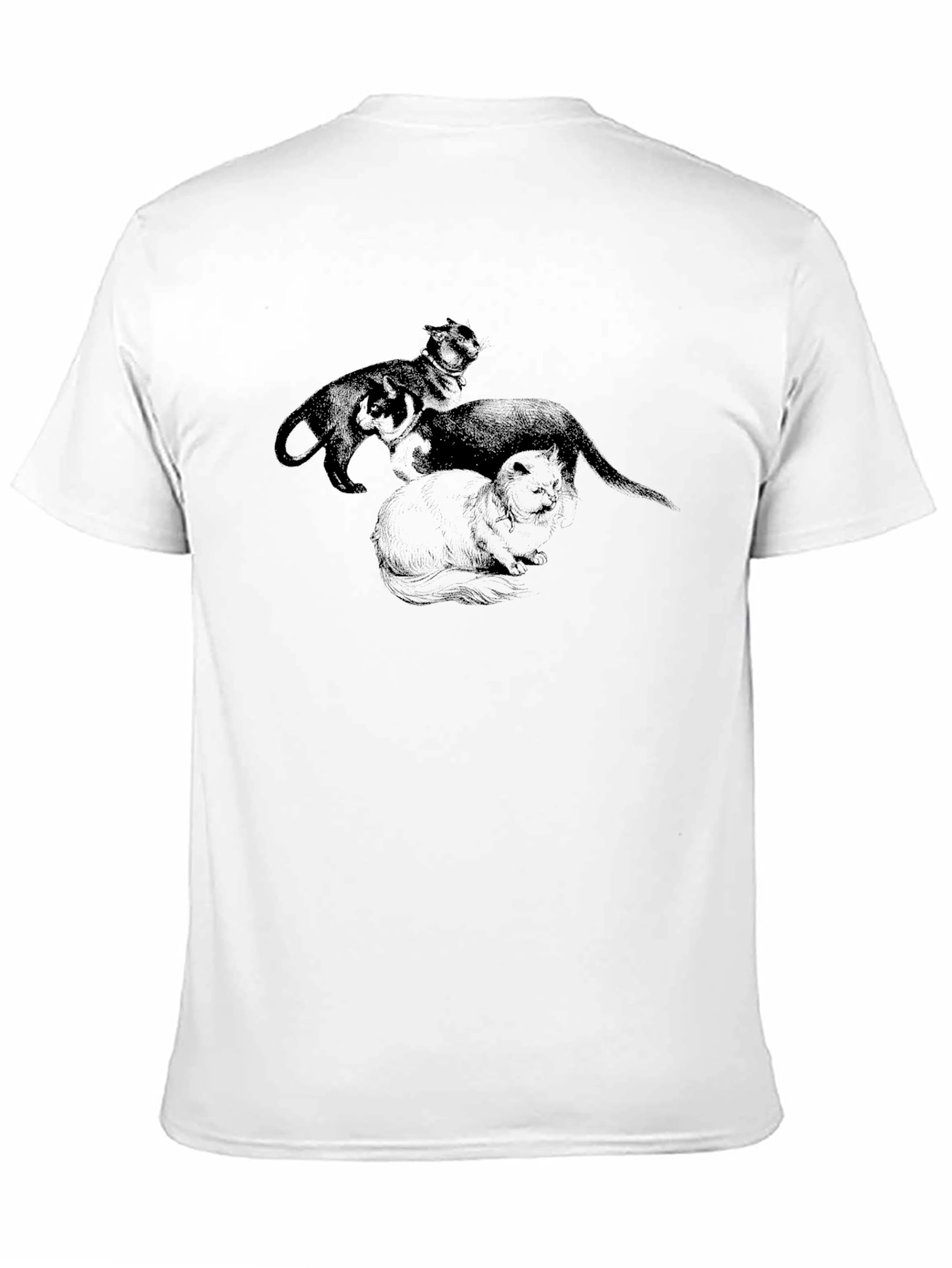 Black Black Cat Trio Graphic Tee view 11