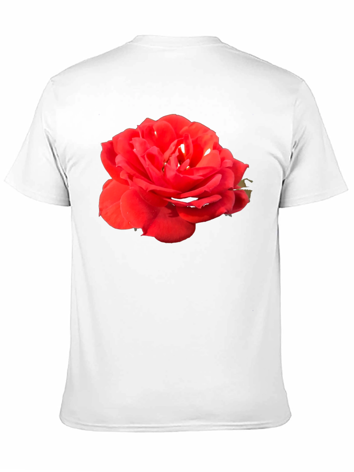 Black Red Rose Graphic Tee - Classic Black Cotton T-Shirt view 11