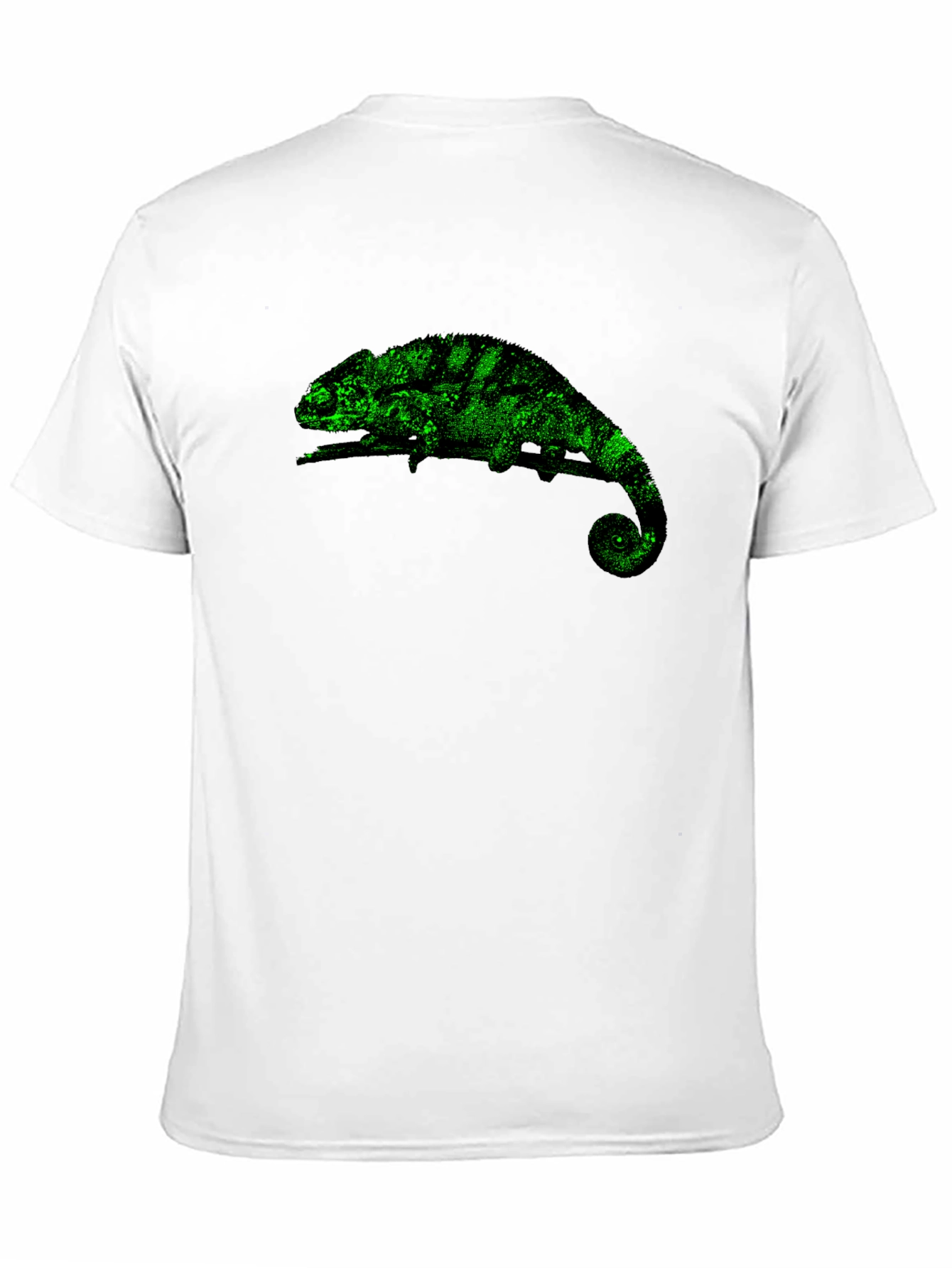 Black Chameleon Graphic Print T-Shirt - Black view 11