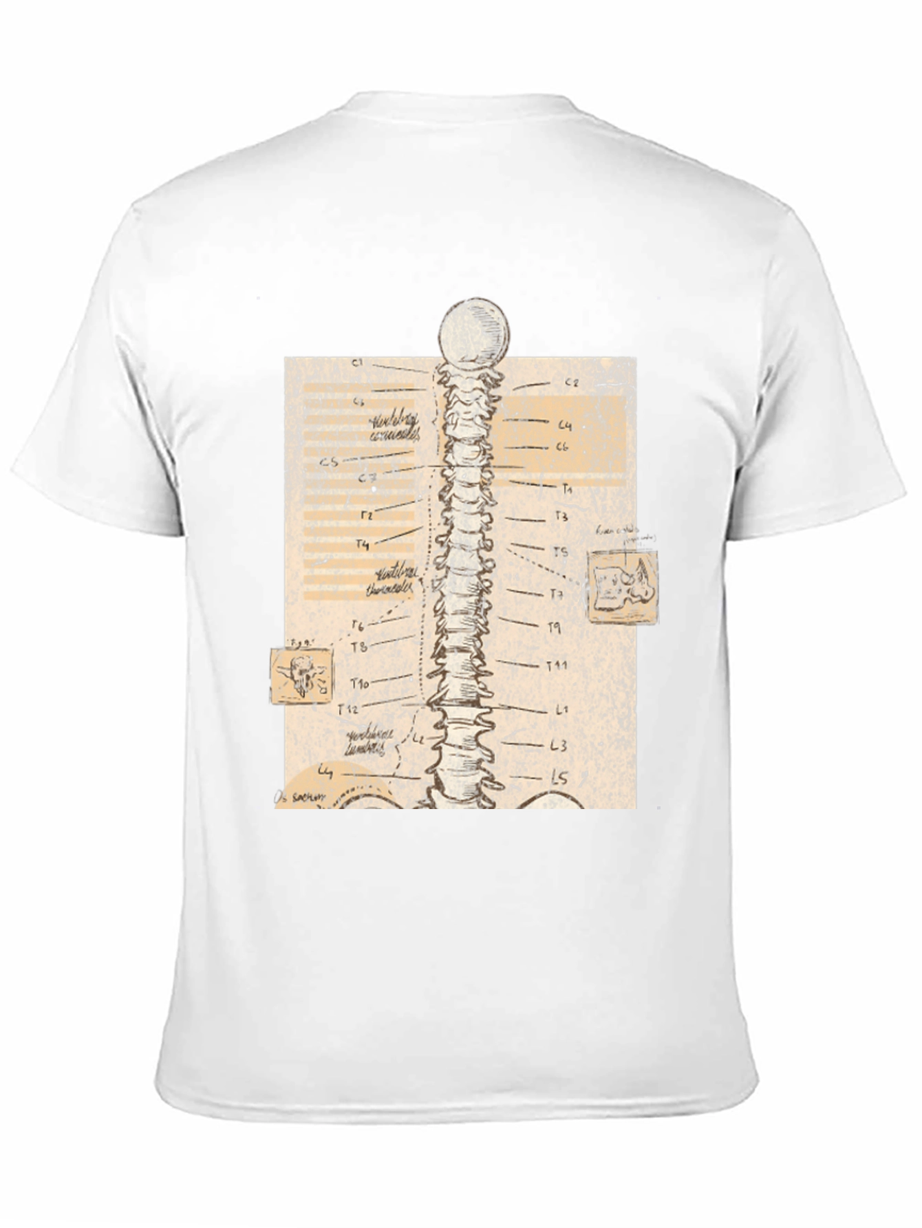 Black Anatomical Spine Graphic Tee - Black view 11
