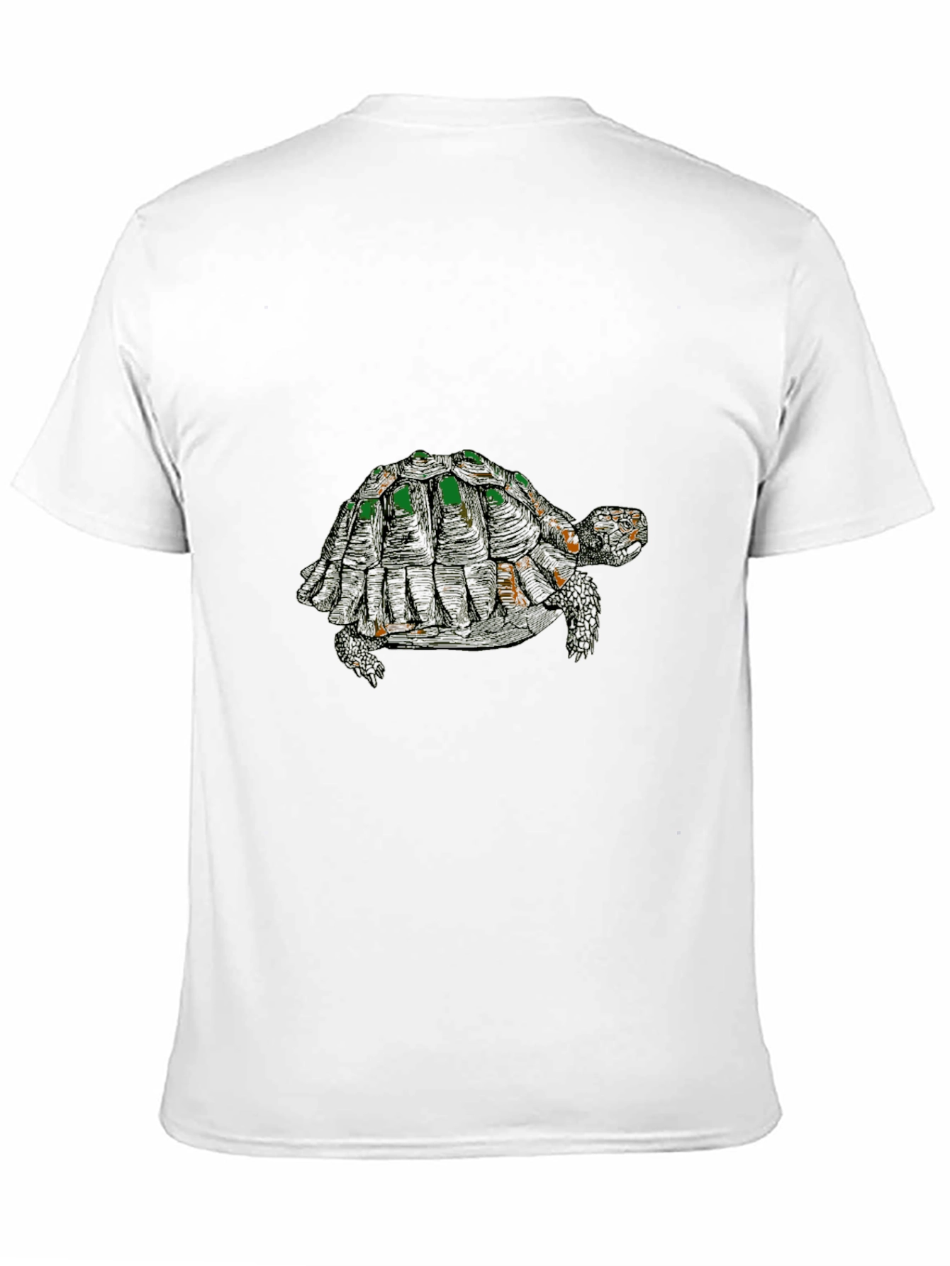 Black Turtle Graphic Tee - Stylish Black Cotton Blend view 11