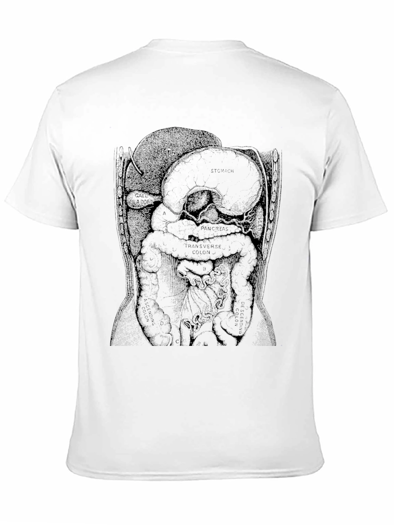 Black Anatomical Diagram T-Shirt - Black view 11