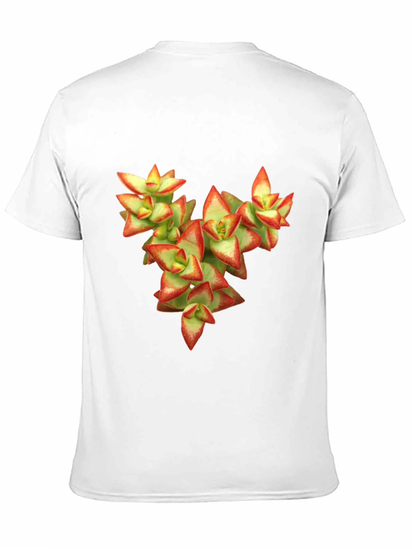 Black Succulent Graphic T-Shirt - Nature Inspired Tee view 11