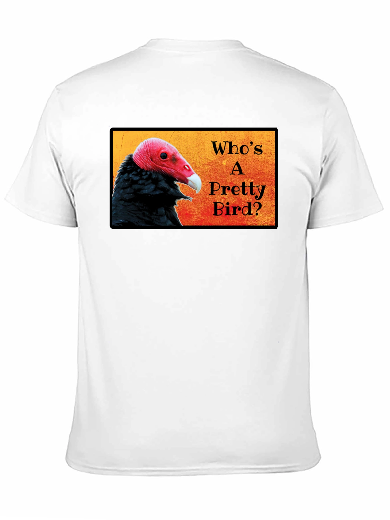 Black Who's a Pretty Bird? Vulture Graphic T-Shirt view 11
