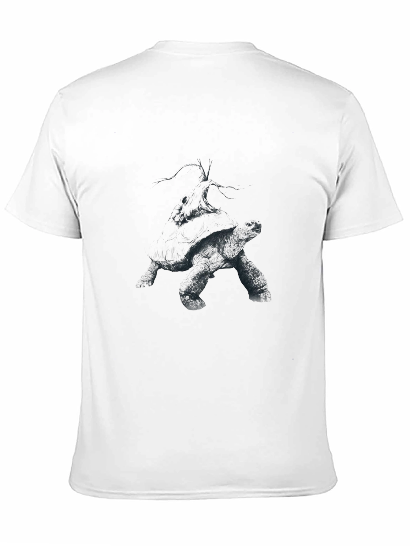 Black Turtle Graphic Black T-Shirt view 11