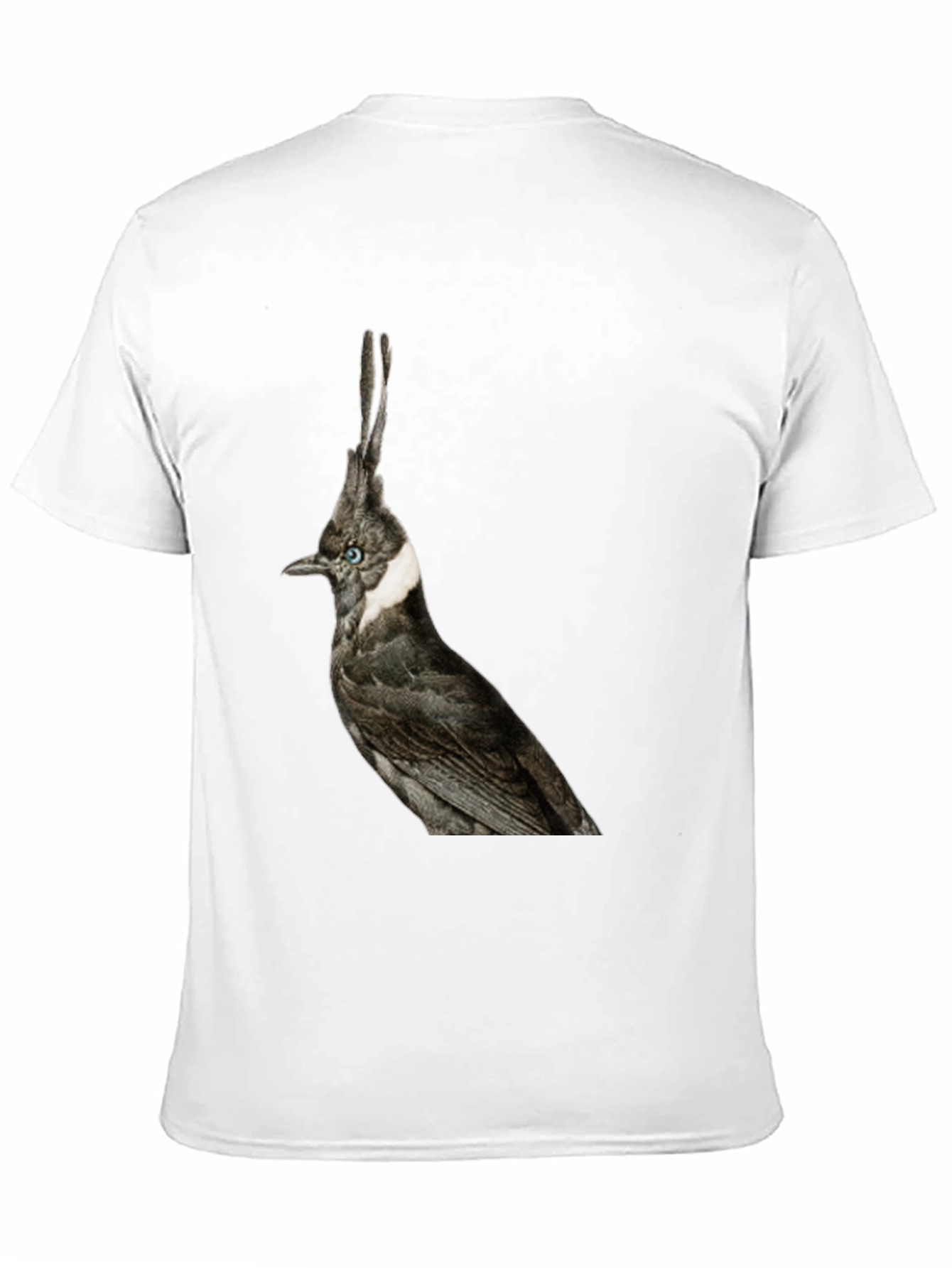 Black Crested Bird Graphic T-Shirt - Unique Style view 11