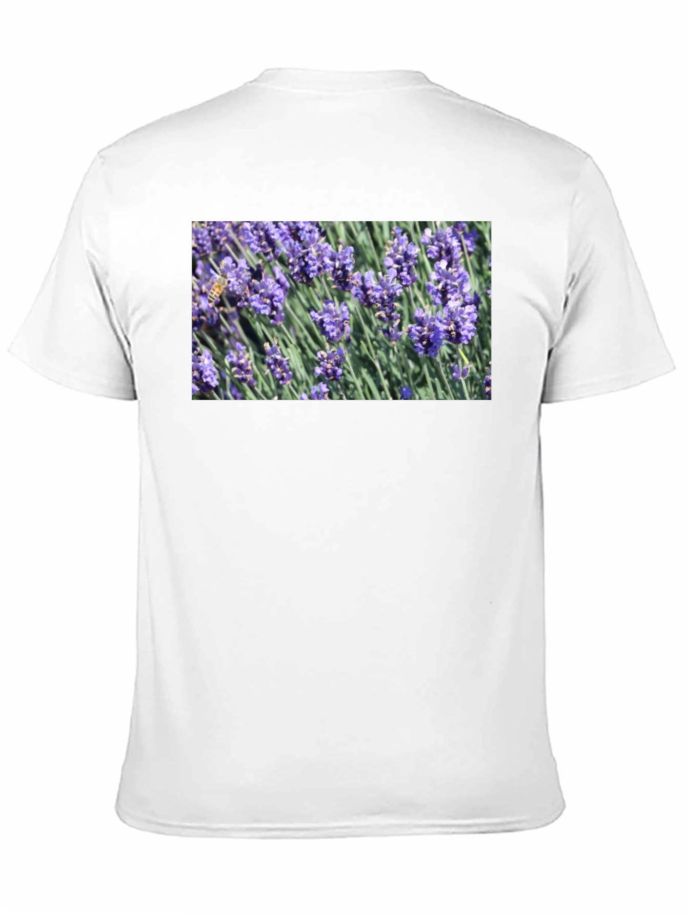 Black Floral Print T-Shirt: Bee on Lavender view 11