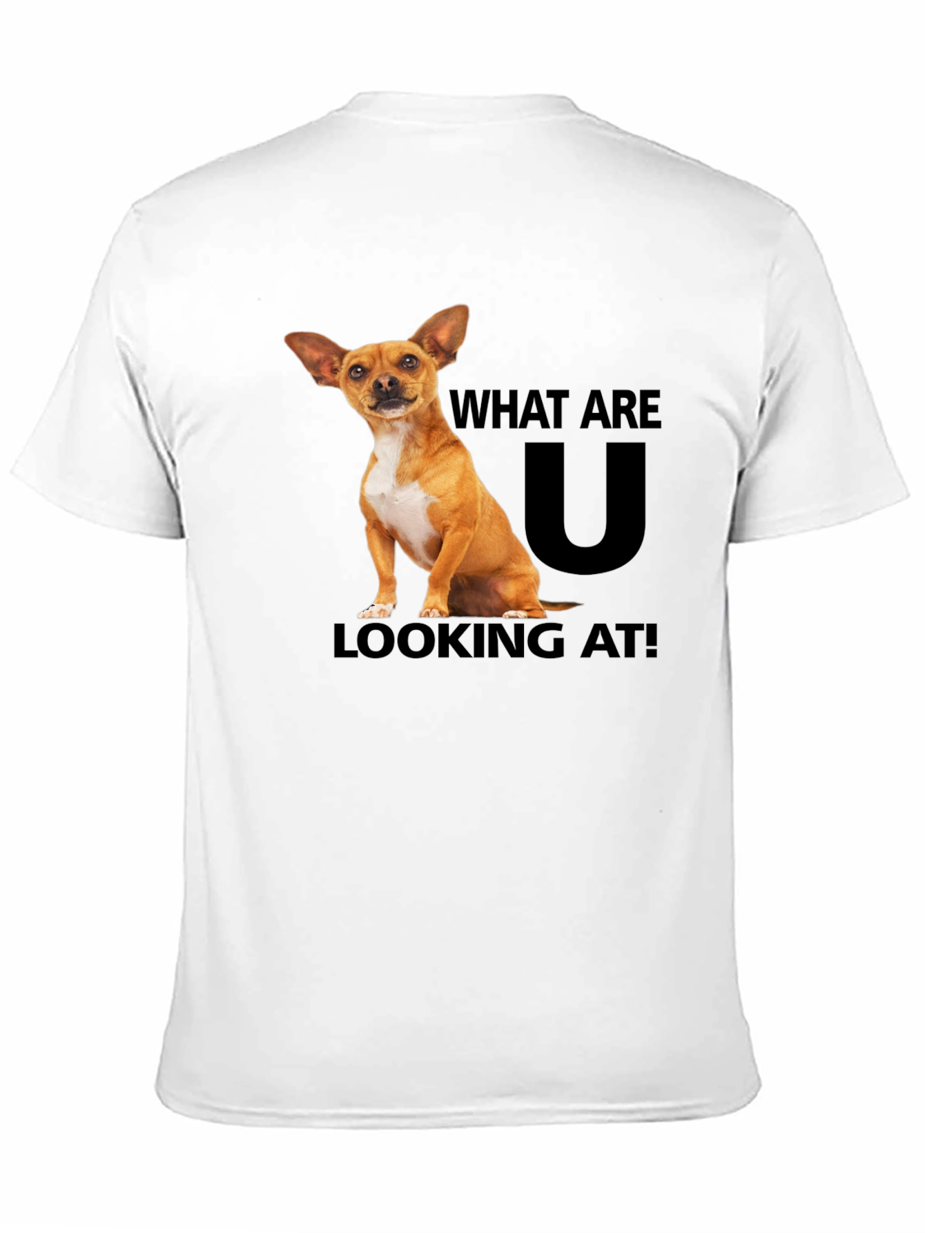 Black Dog T-Shirt: What Are You Looking At? view 11