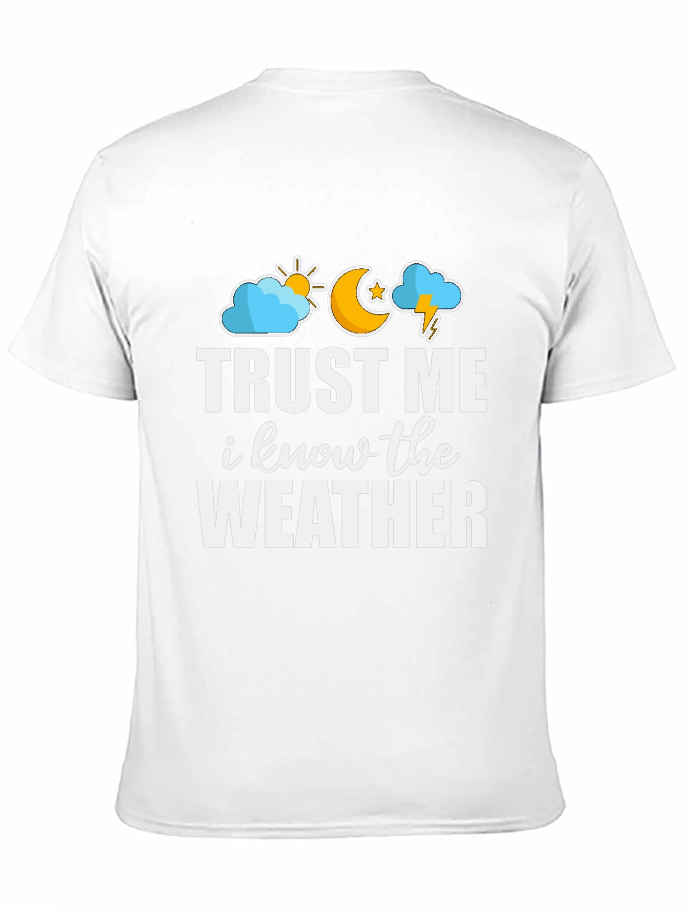 Black Trust Me I Know The Weather Graphic Tee view 11