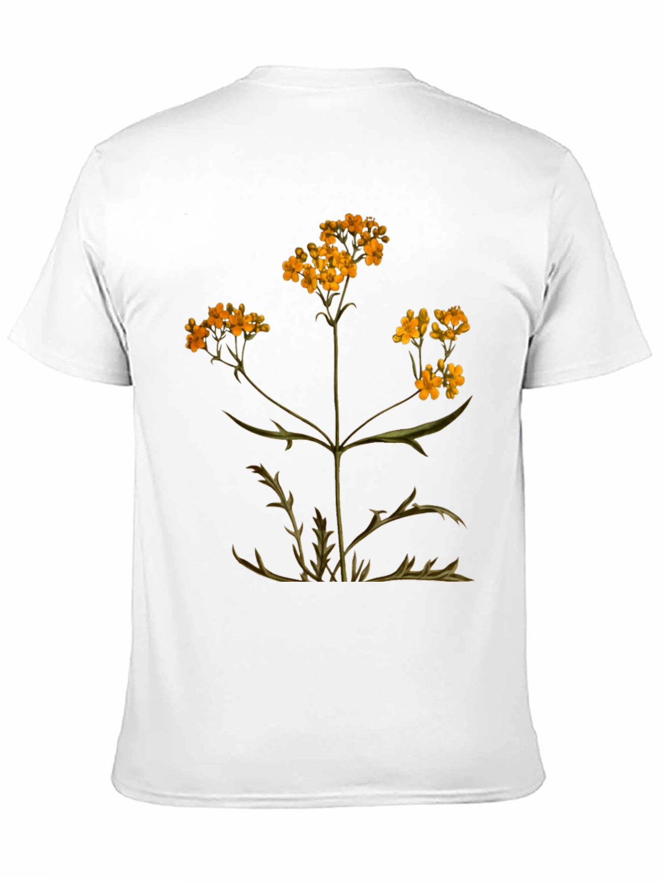 Black Botanical Graphic T-Shirt - Black Cotton Tee view 11