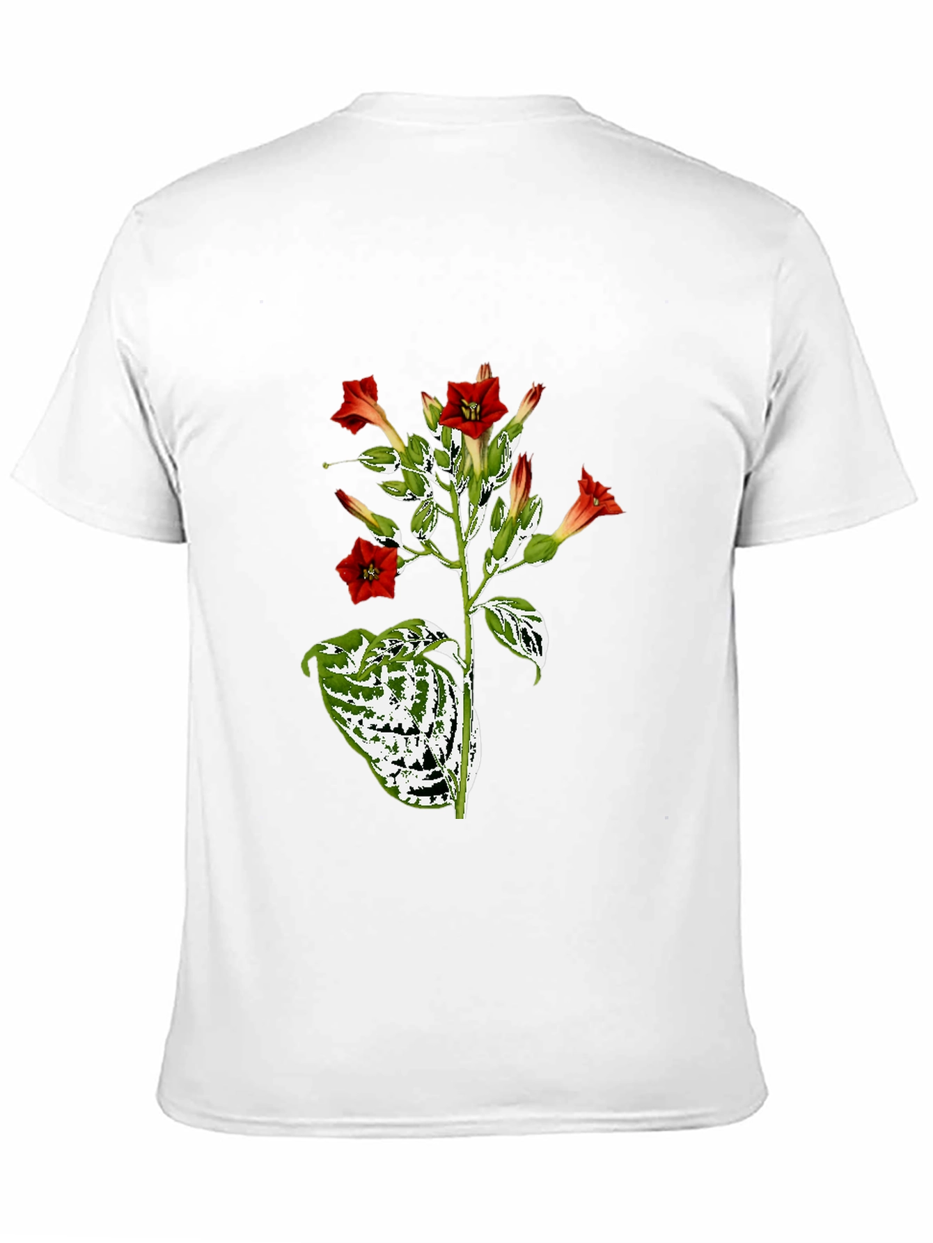 Black Botanical Floral Graphic Tee - Black Cotton T-Shirt view 11