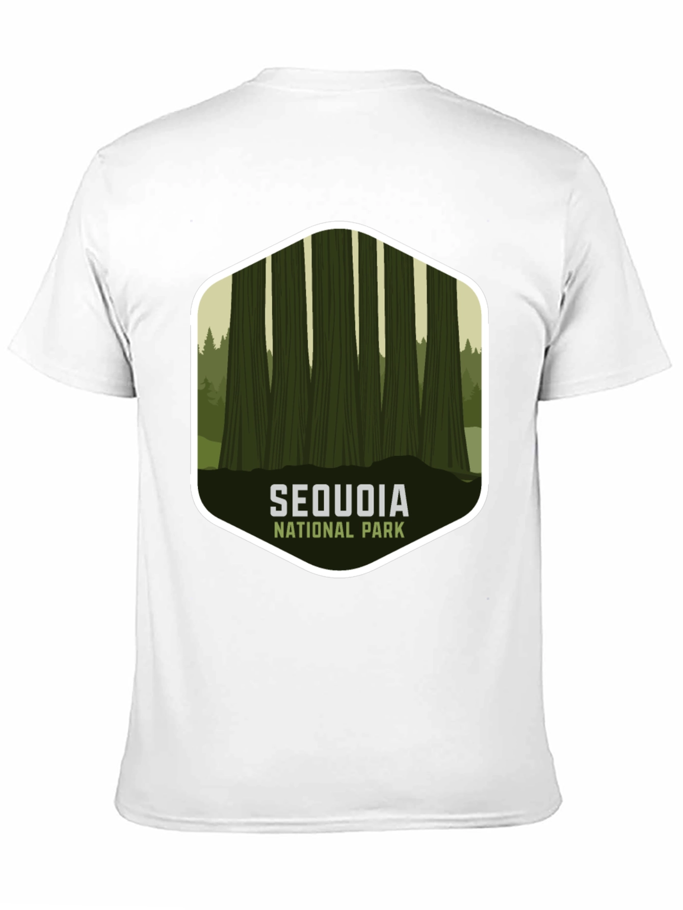 Black Sequoia National Park Graphic Tee - Black view 11