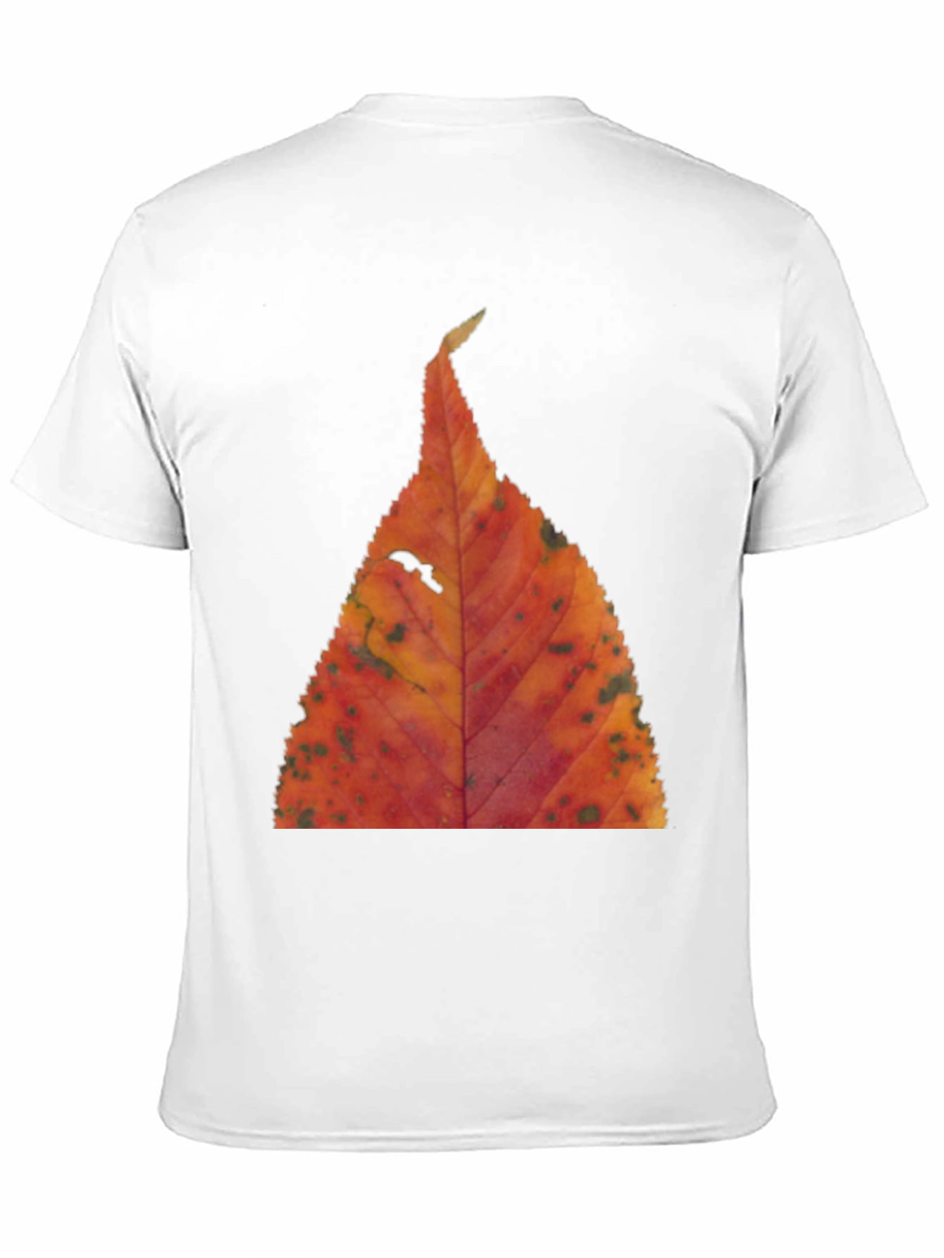 Black Fall Leaf Print Black T-Shirt view 11