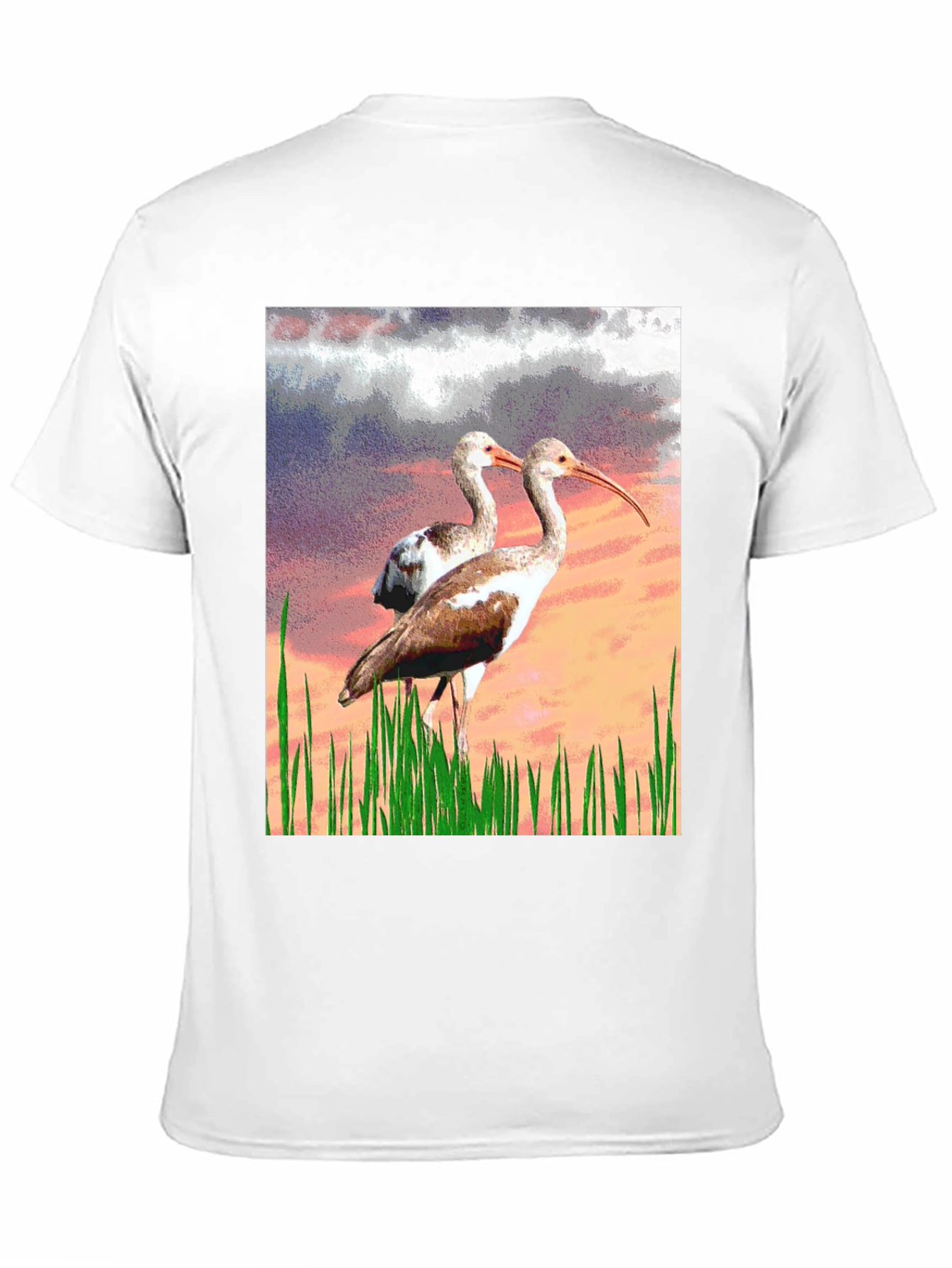 Black Ibis Bird Graphic Print Black T-Shirt view 11