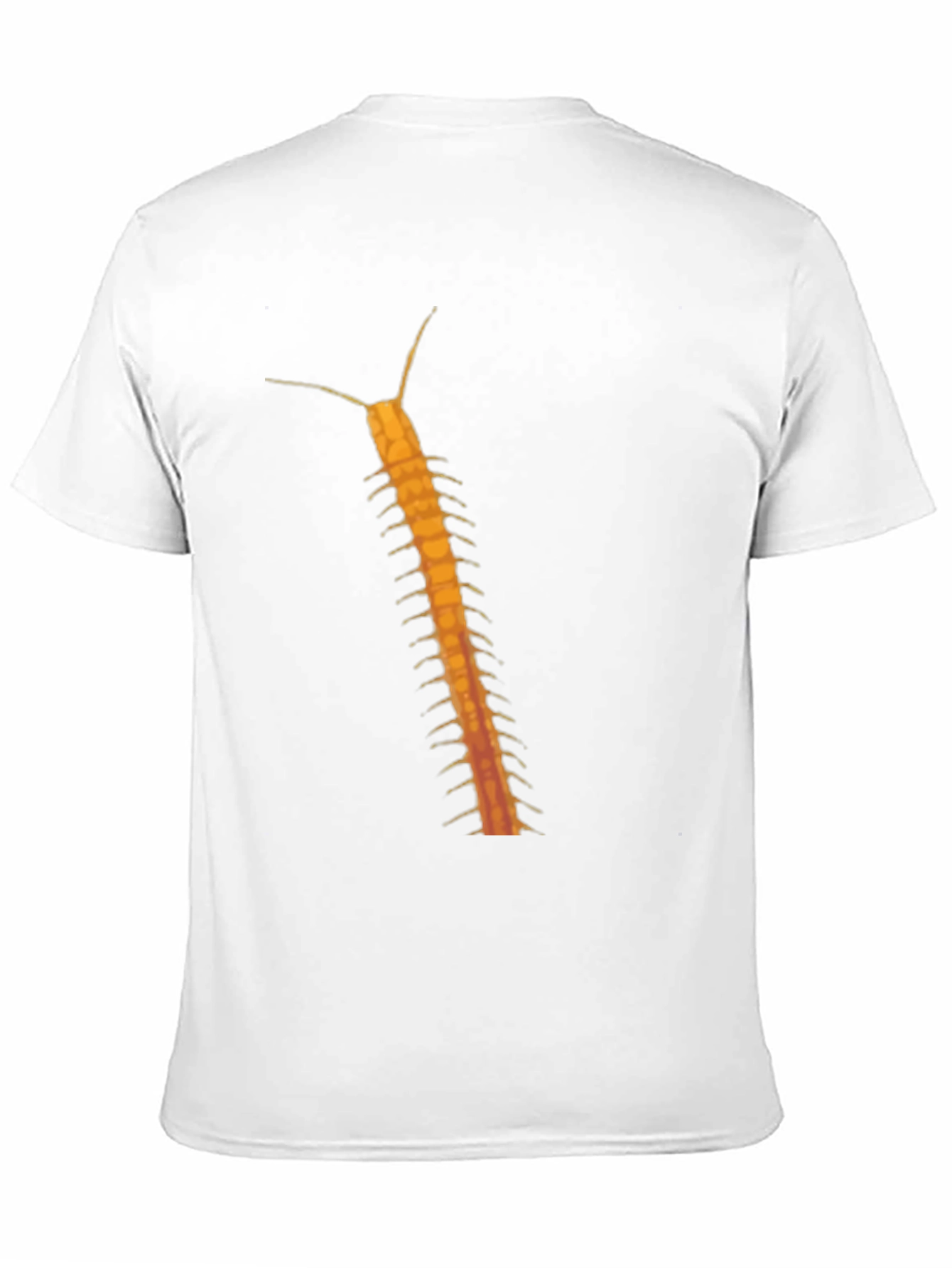 Black Centipede Graphic Tee - Black Cotton T-Shirt view 11