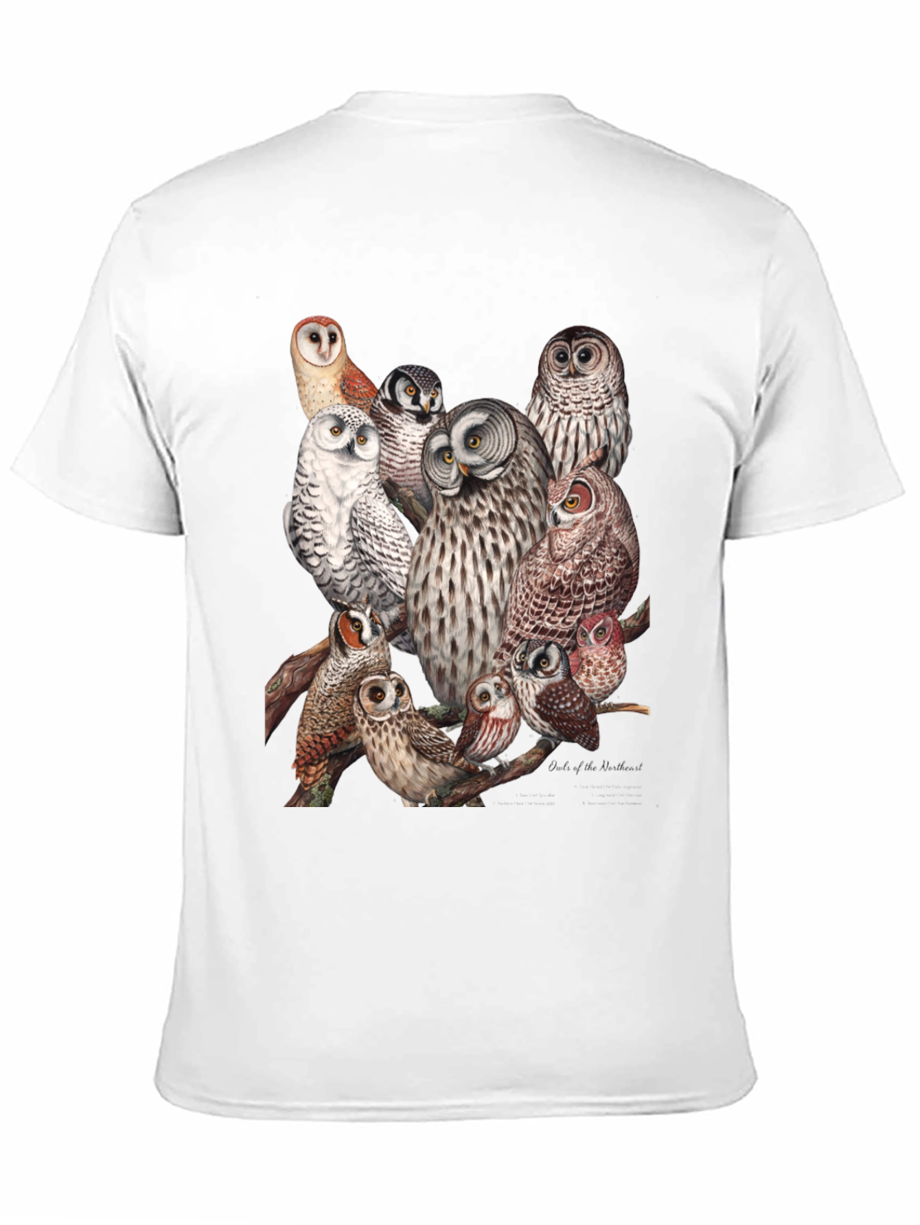 Black Owl Print Black T-Shirt view 11