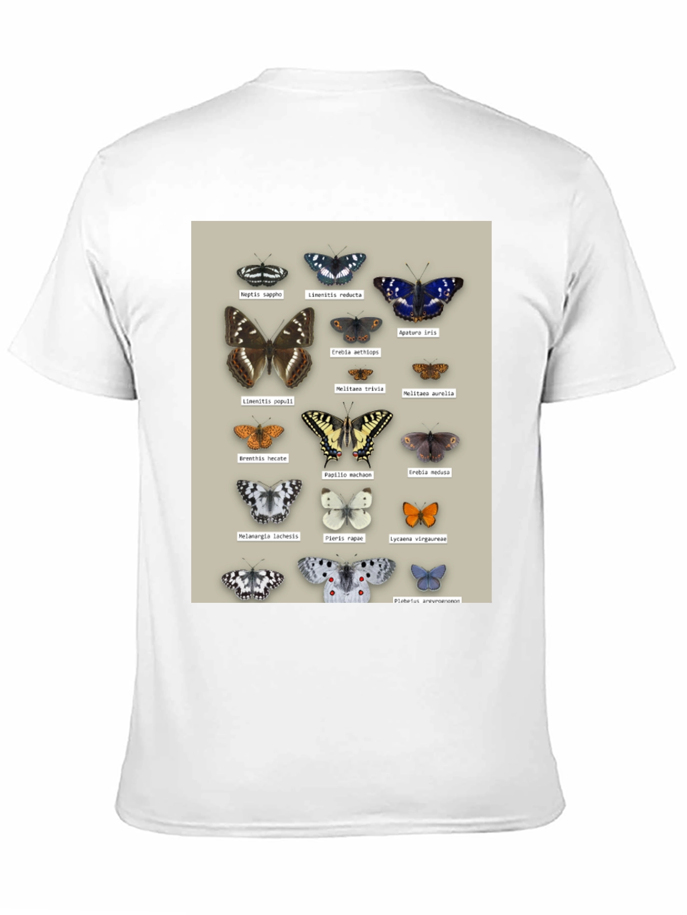 Black Butterfly Print T-Shirt | Nature Lover Apparel view 11