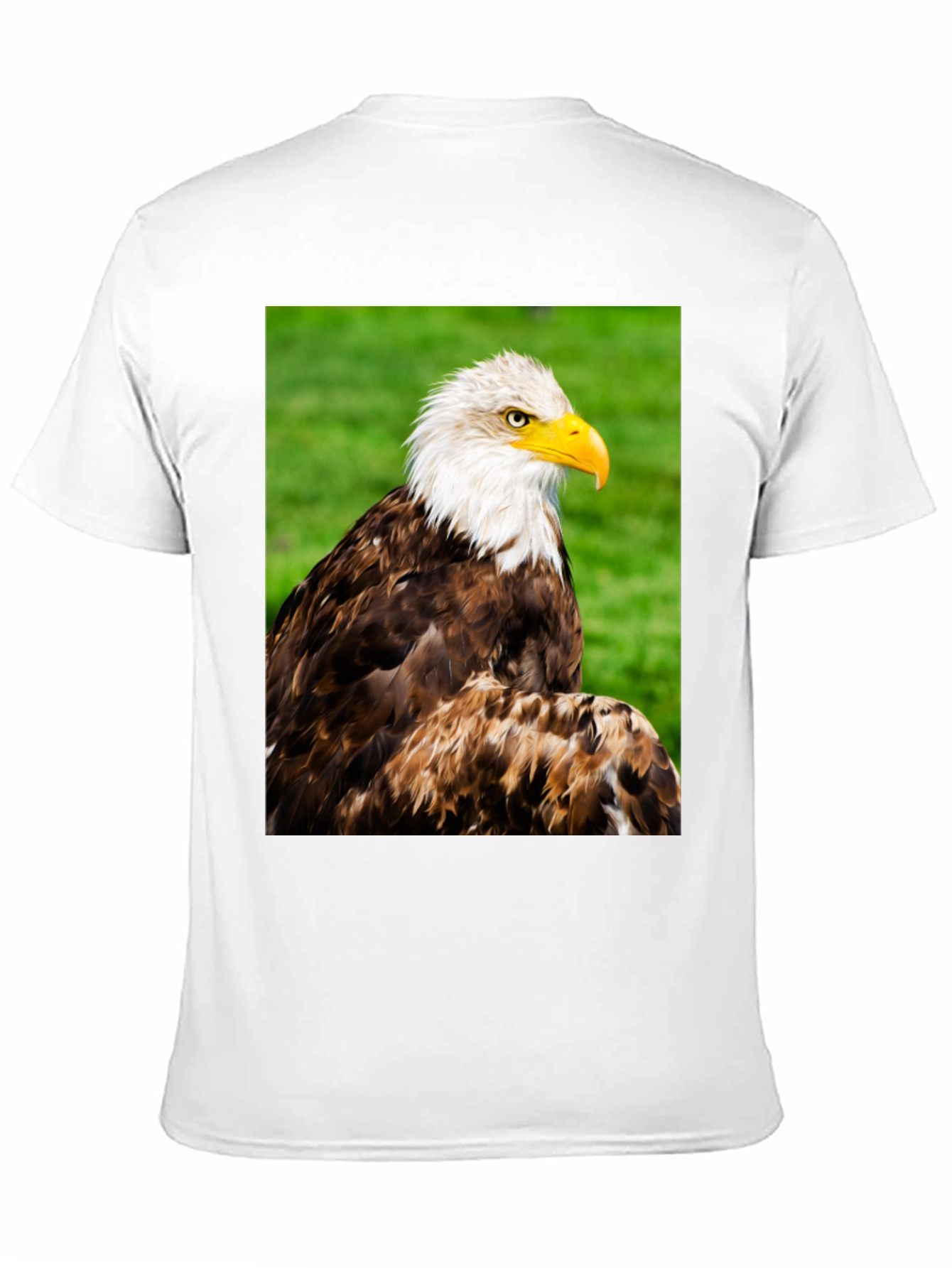 Black Bald Eagle Graphic T-Shirt view 11