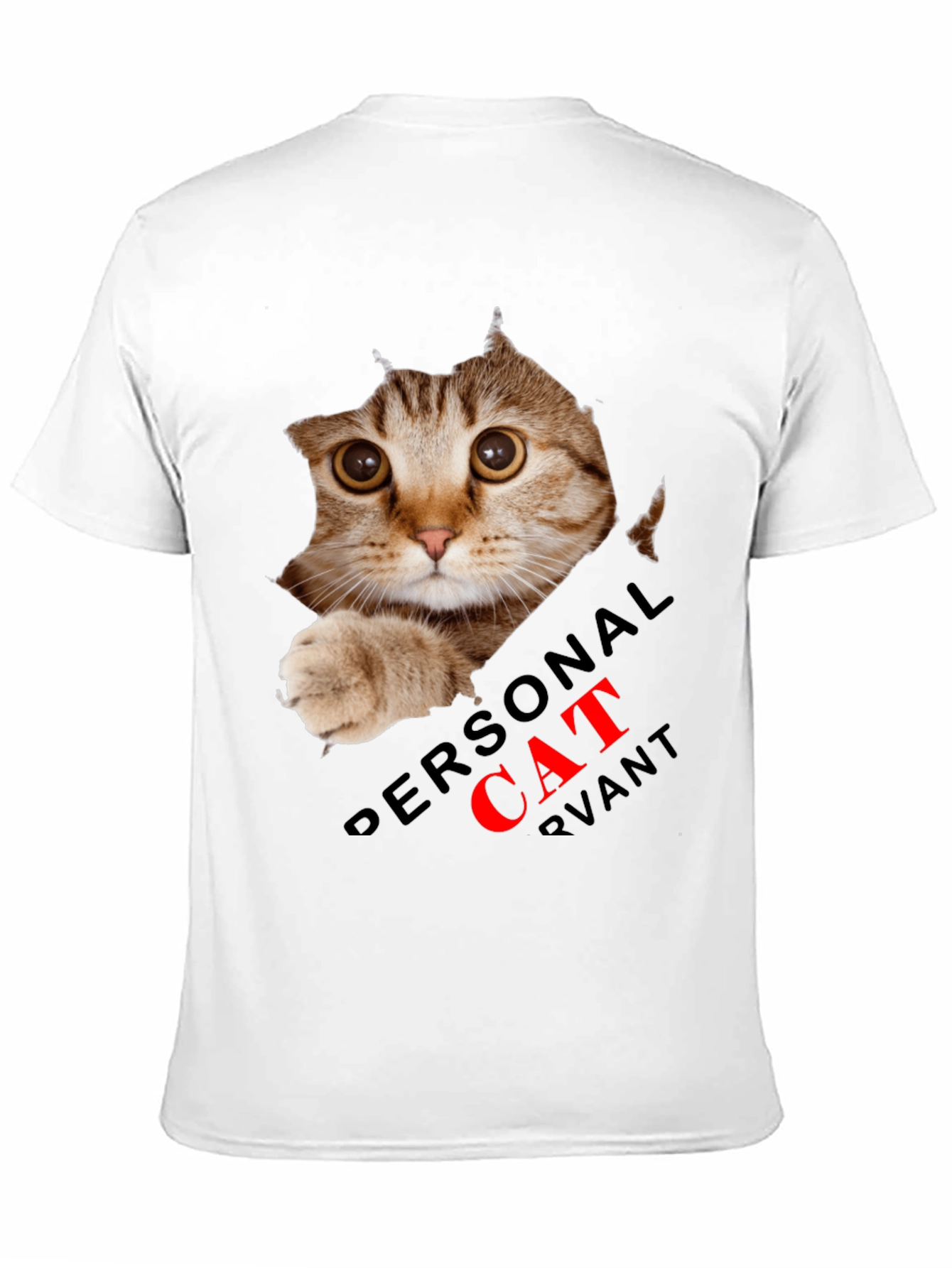 Black Personal Cat Servant Graphic Tee - Black Cotton Blend view 11