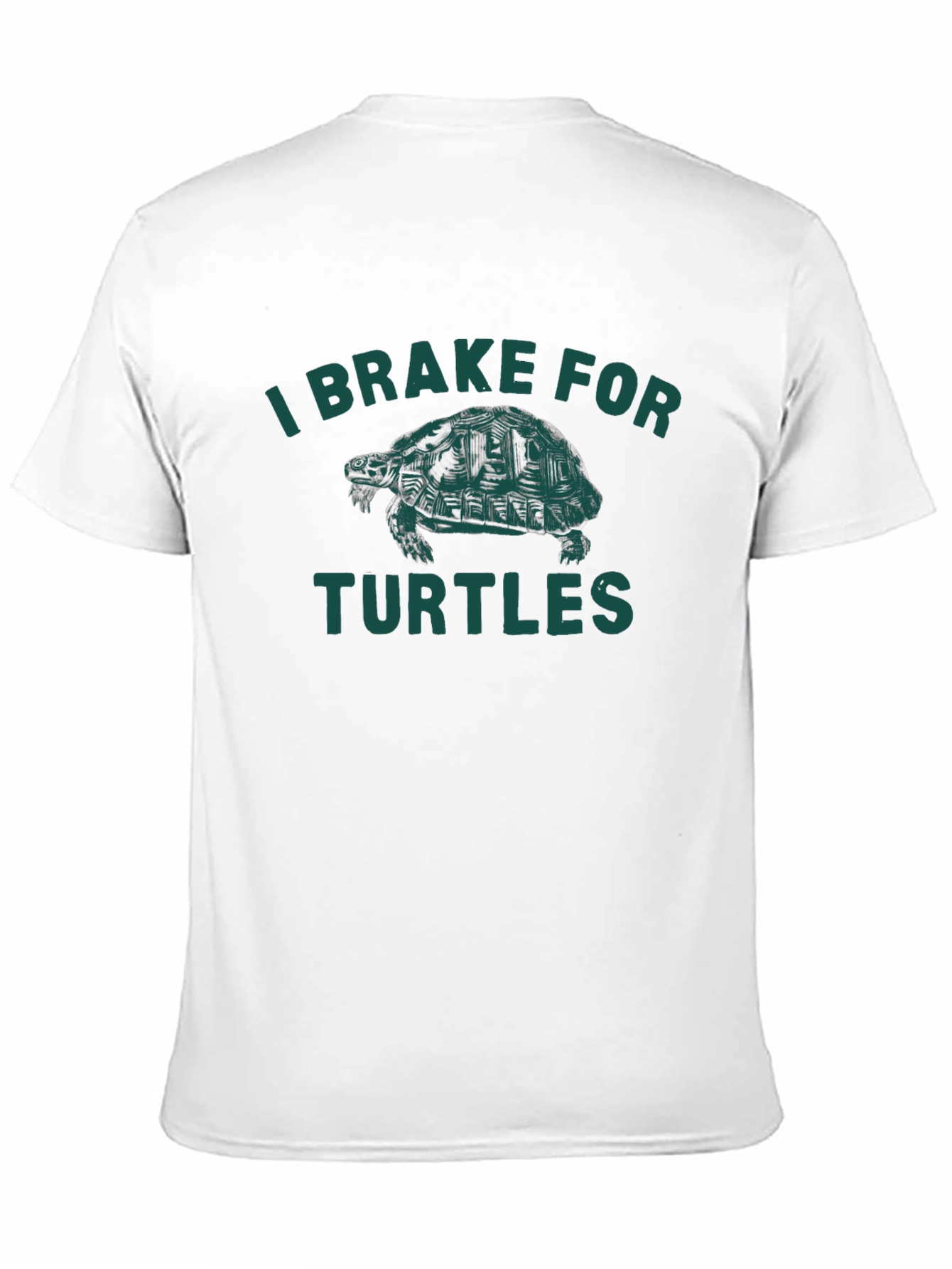 Black I Brake For Turtles Graphic Tee - Black view 11