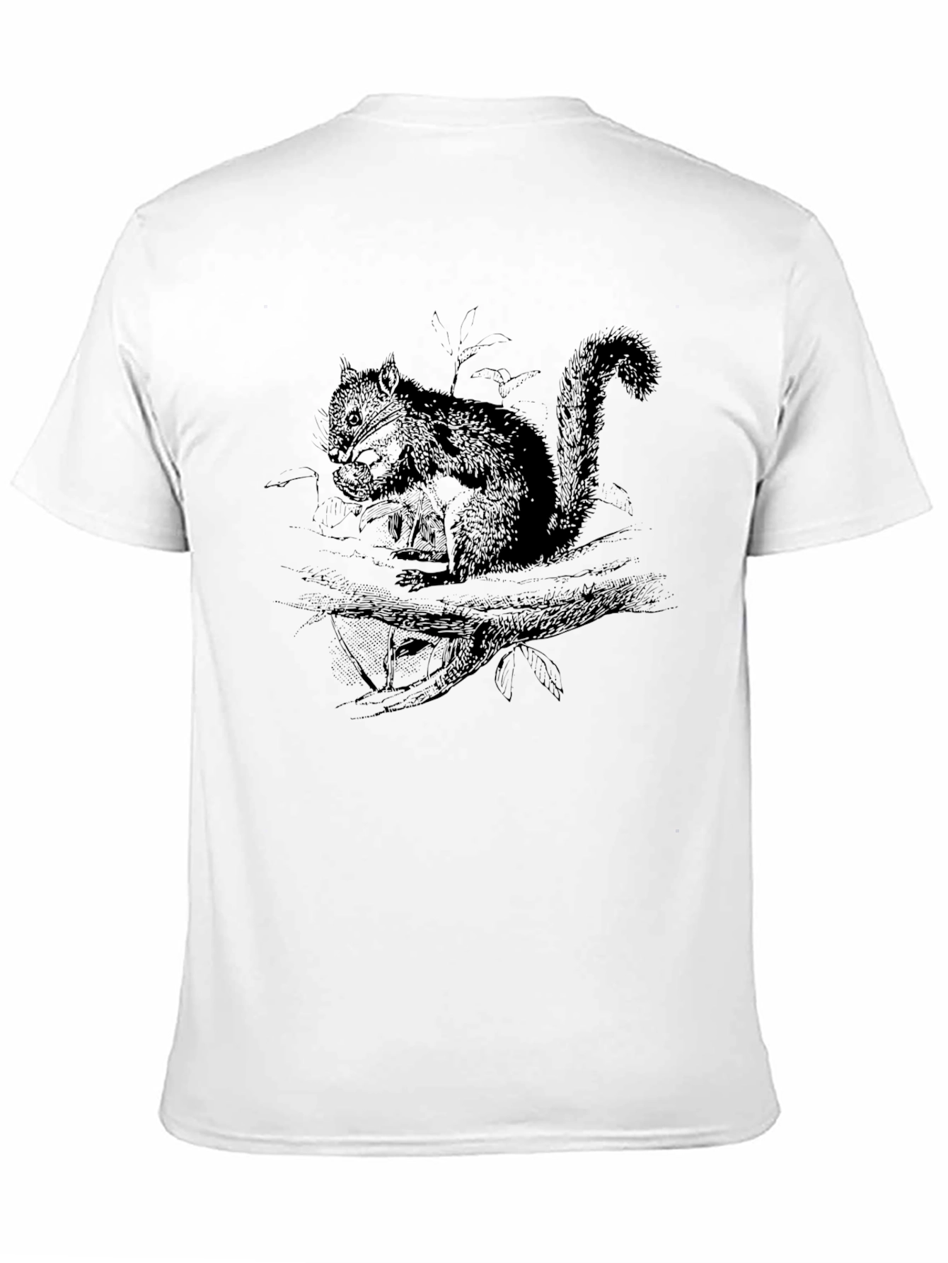 Black Squirrel Graphic Black T-Shirt view 11