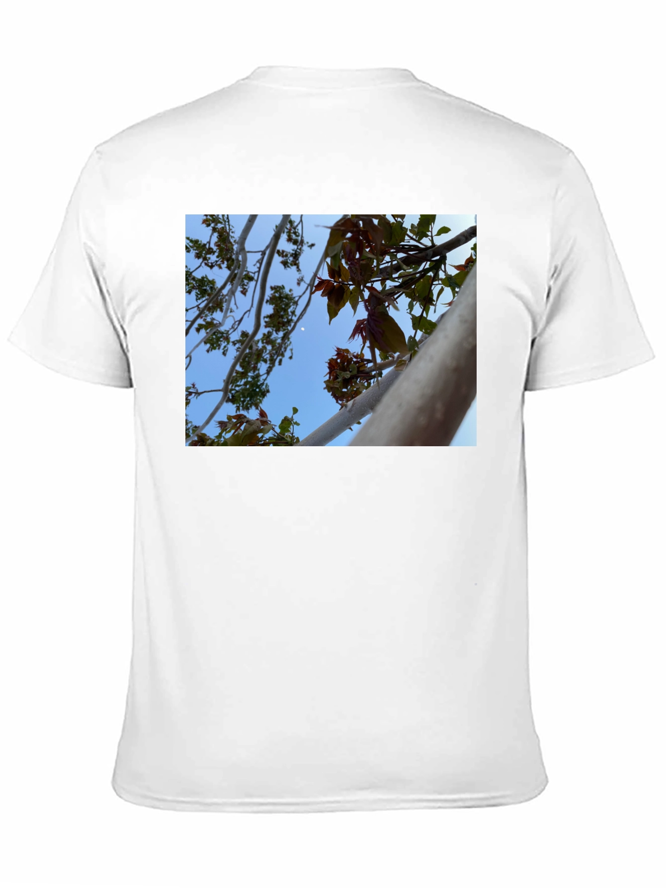 Black Nature View T-Shirt - Branches & Sky Design view 11