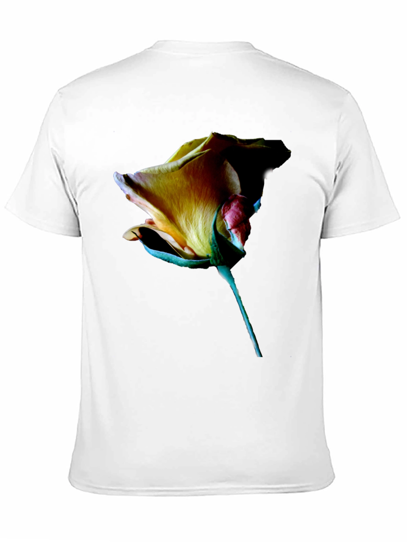 Black Rose Graphic Tee - Elegant Floral Design view 11