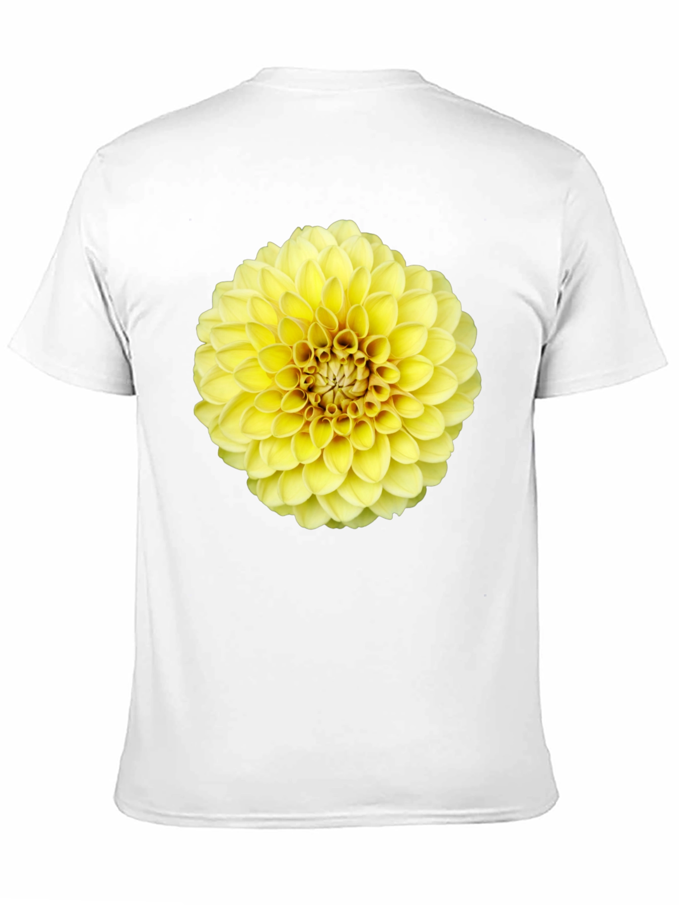 Black Floral Dahlia Graphic Tee - Sunny Yellow Bloom view 11
