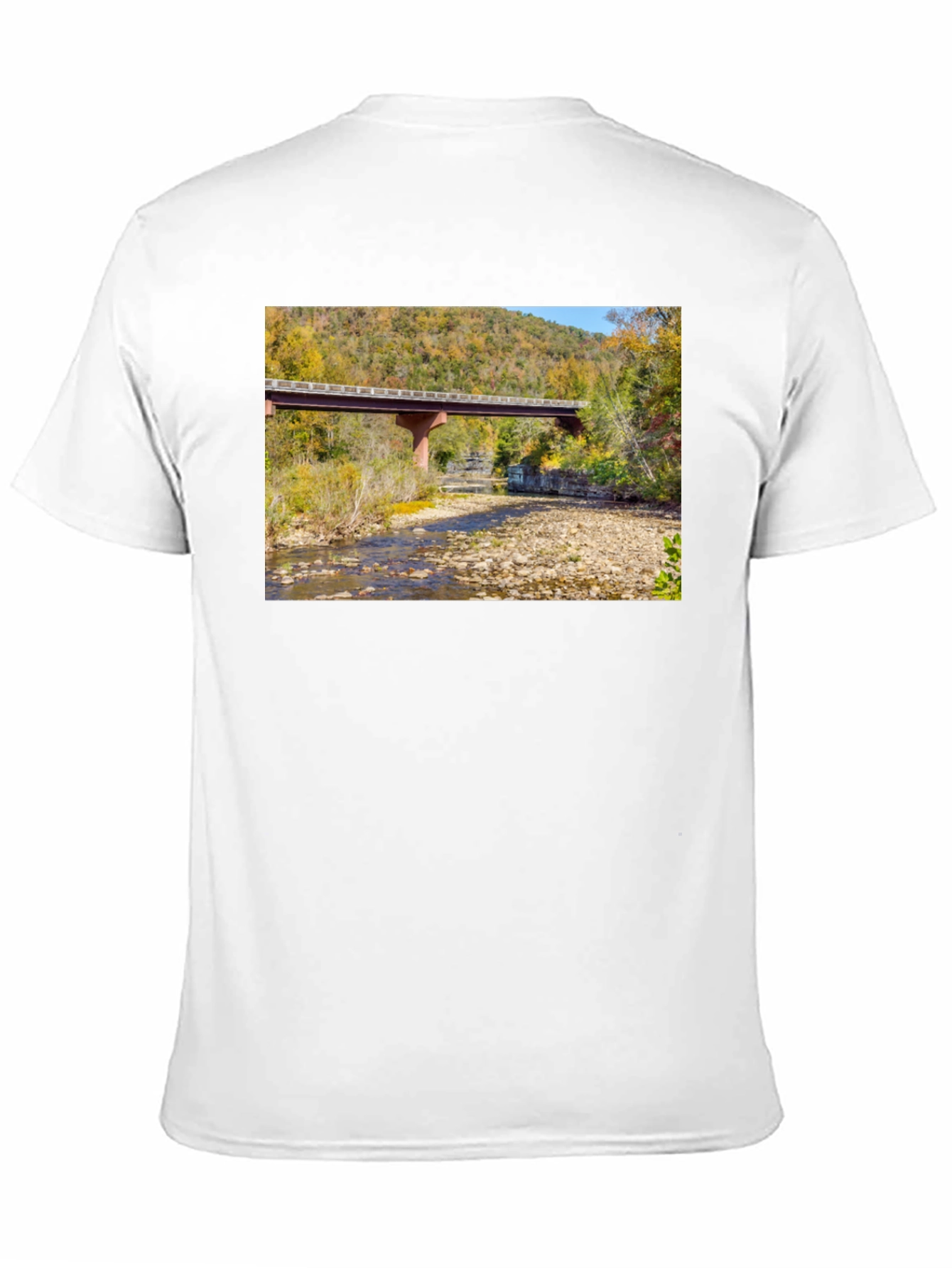 Black Nature Bridge Graphic Tee - Black Cotton Blend view 11