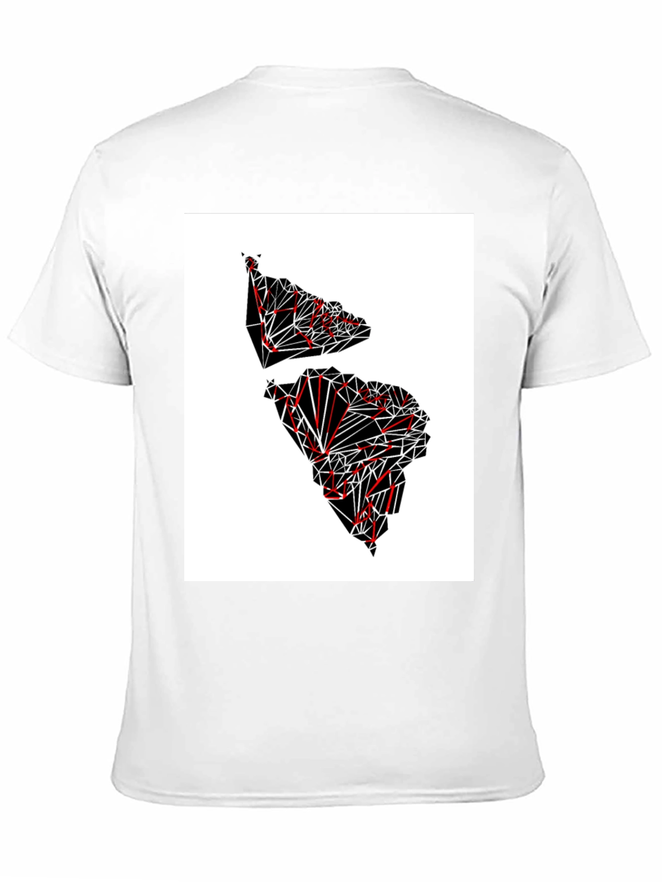 Black Geometric Continent Graphic Tee - Black view 11
