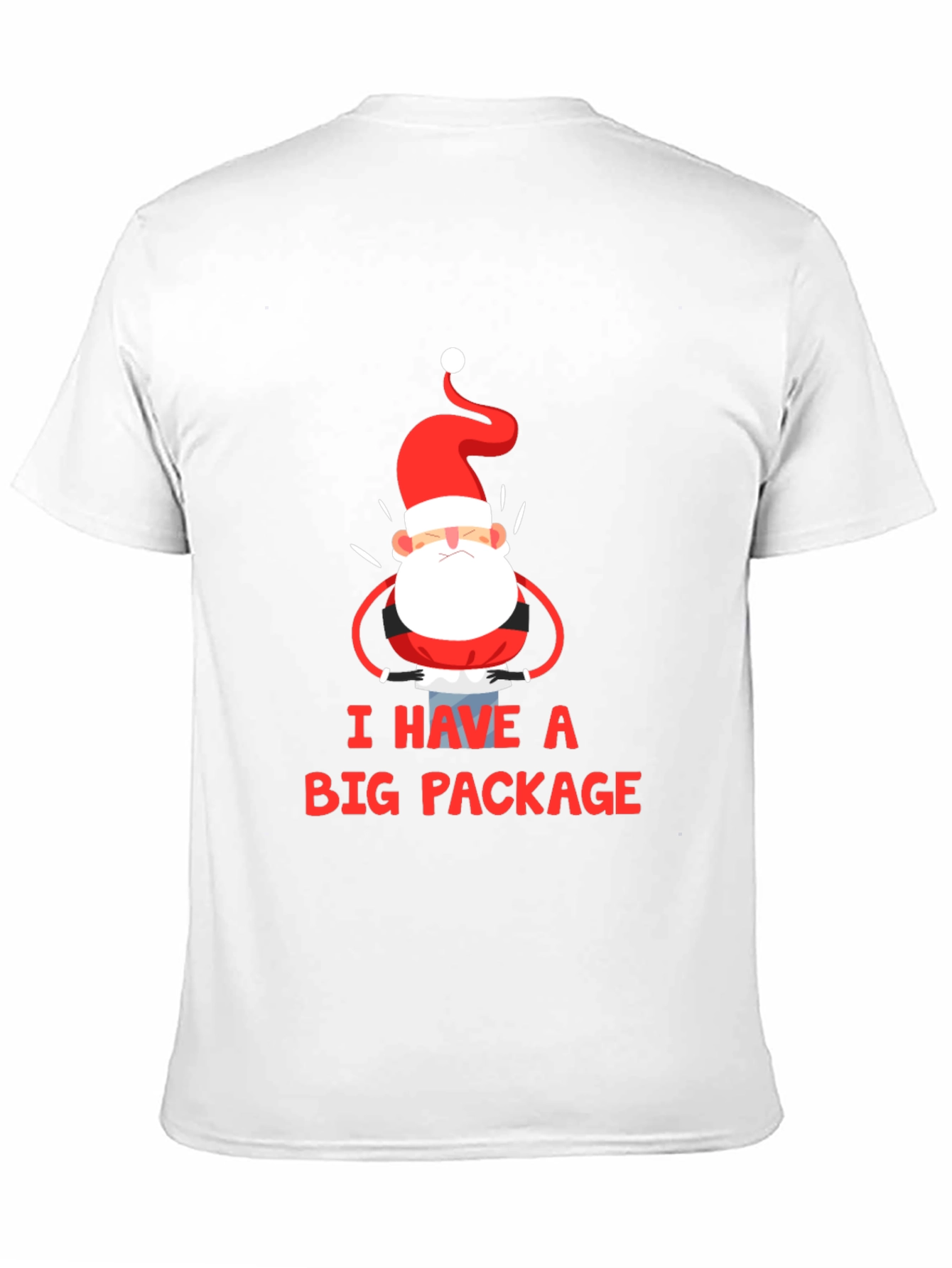 Black I Have a Big Package Graphic Tee Santa Christmas Holiday Shirt view 11