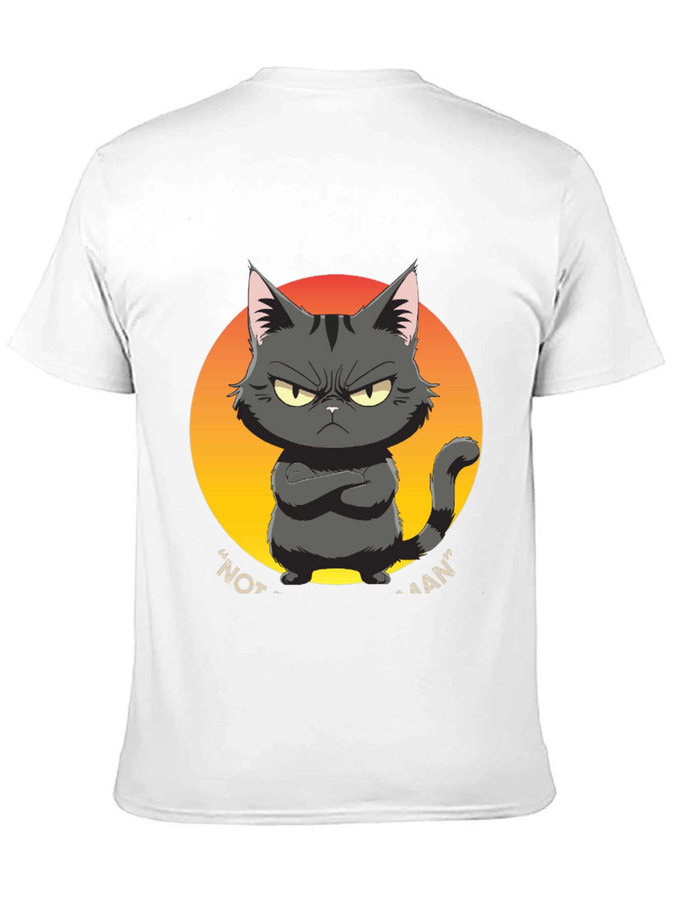 Black Grumpy Cat Graphic Tee - "Not a Fan" Black T-Shirt view 11