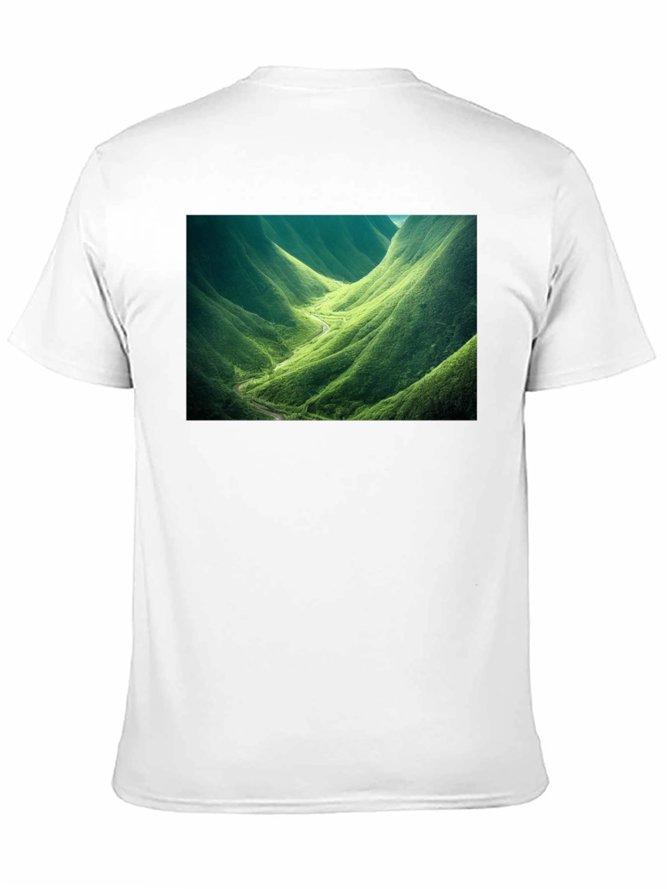 Black Nature Valley Graphic Tee - Black Cotton Comfort view 11