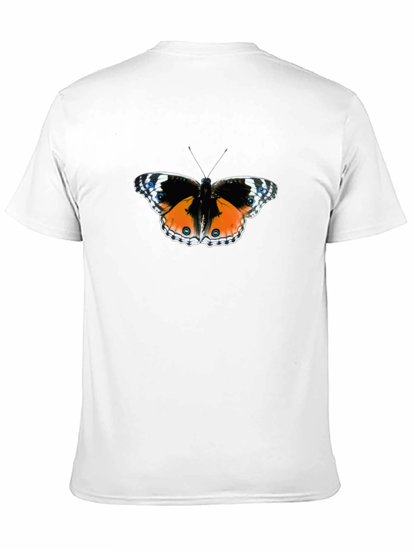 Black Butterfly Graphic Tee - Black Cotton Comfort view 11